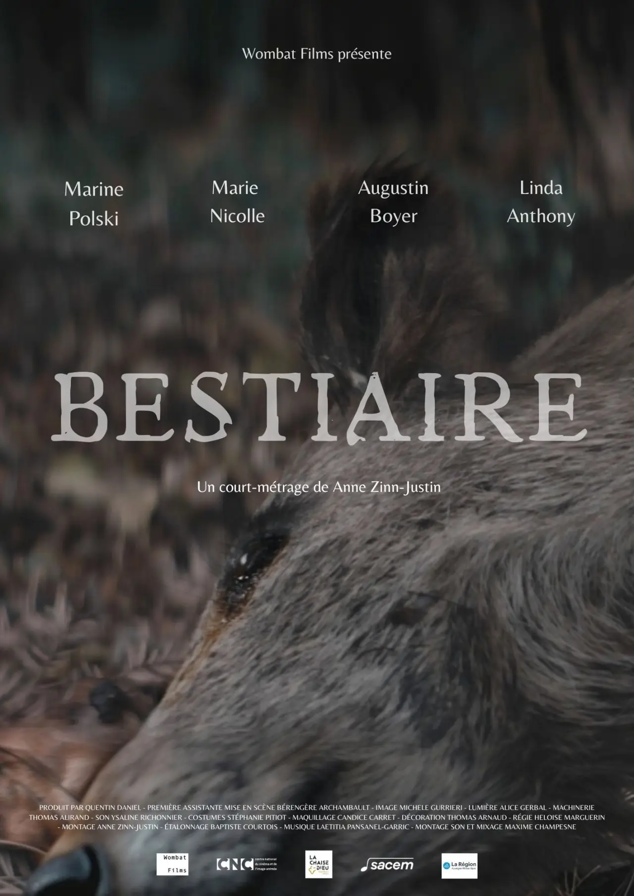 Plakat filmowy "Bestiaire"