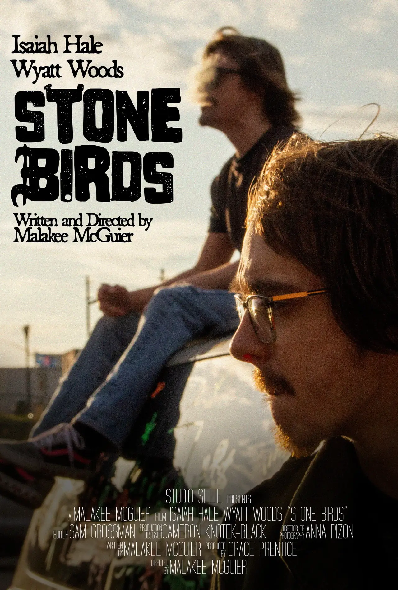 Plakat filmowy "Stone Birds"