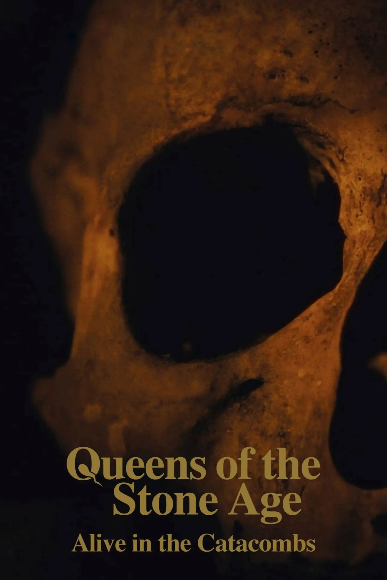 Plakat filmowy "Queens of the Stone Age: Alive in the Catacombs"