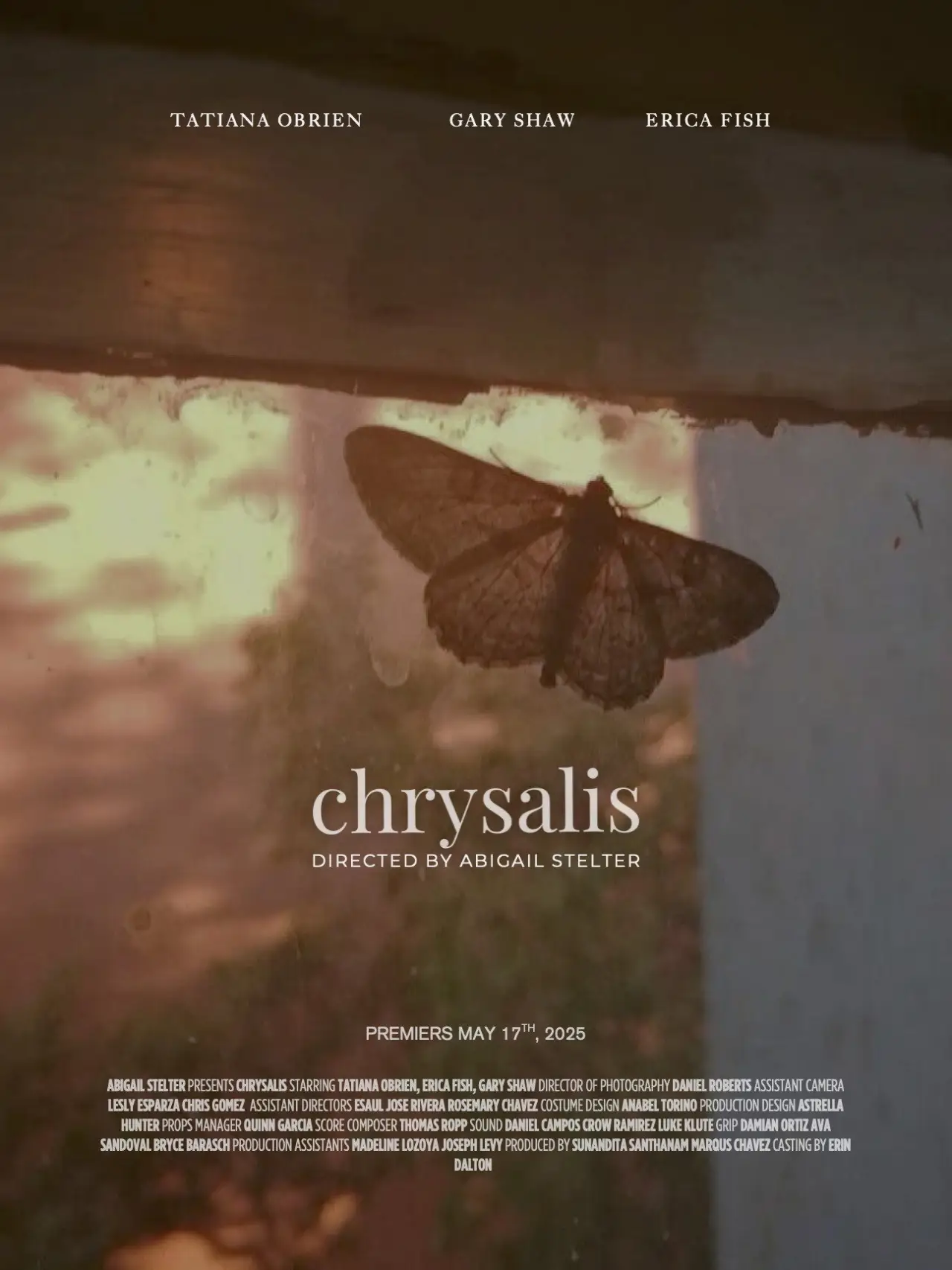 Plakat filmowy "Chrysalis"
