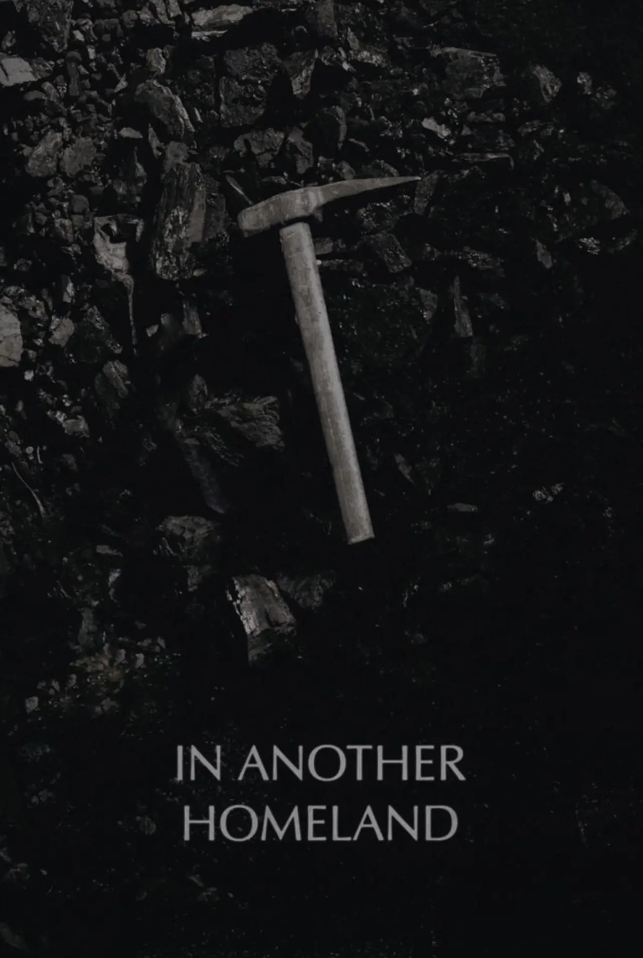 Plakat filmowy "In een ander vaderland"
