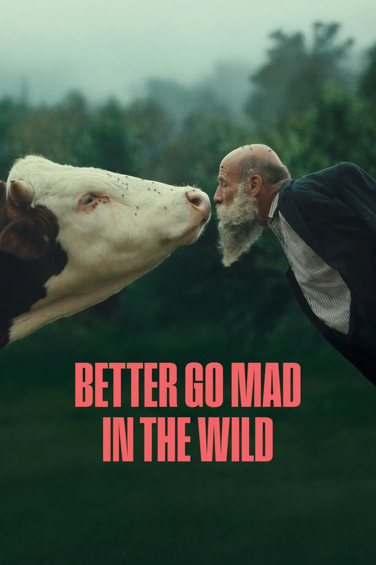 Plakat filmowy "Better Go Mad in the Wild"