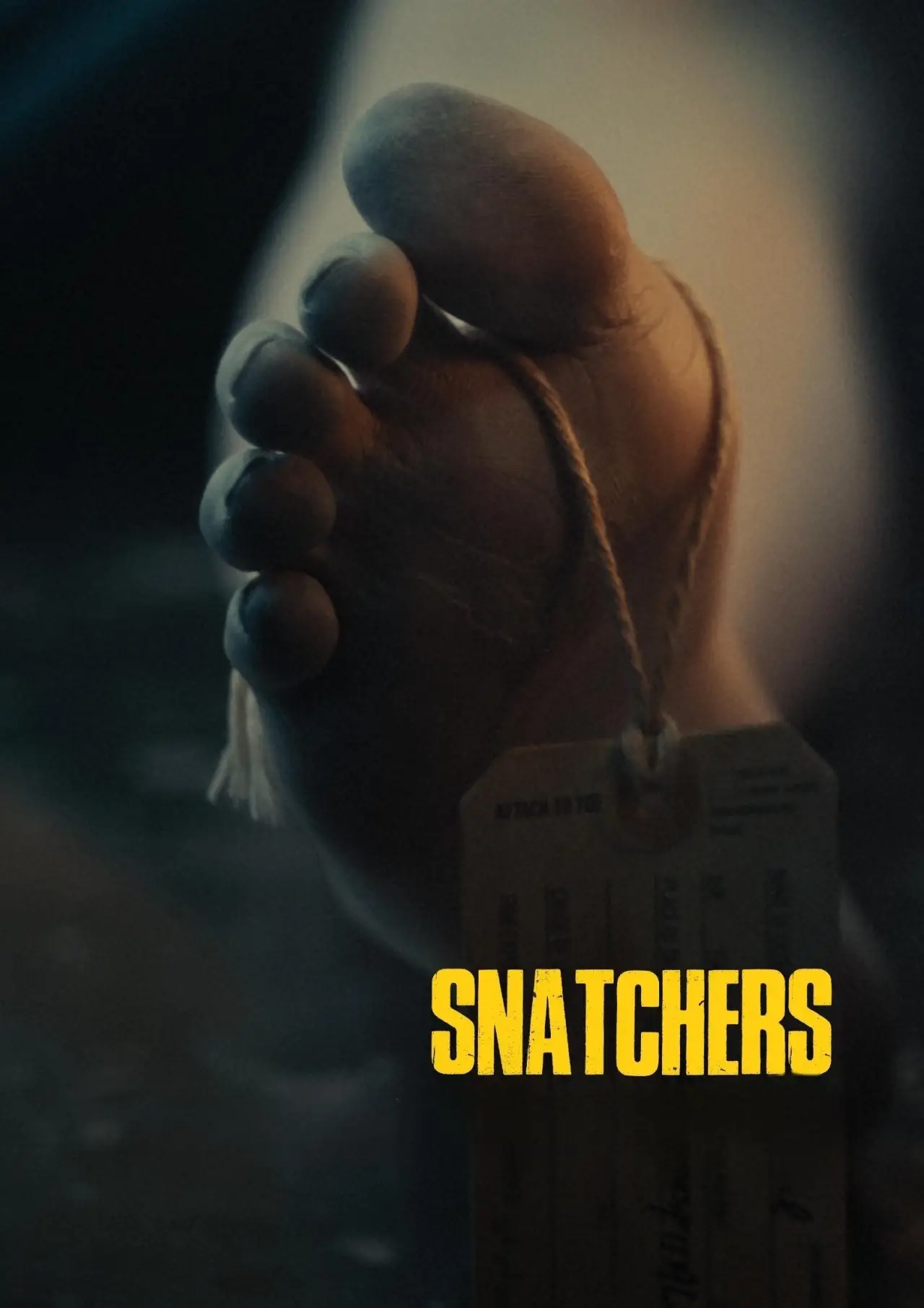 Plakat filmowy "Snatchers"