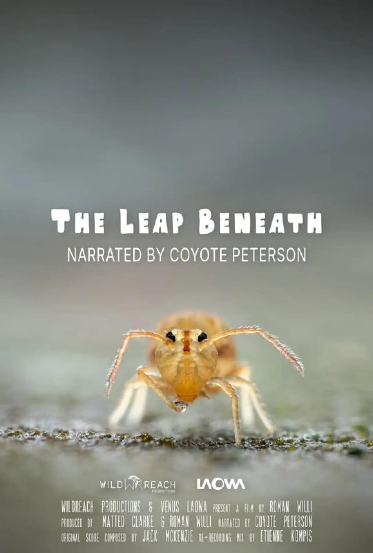 Plakat filmowy "The Leap Beneath"