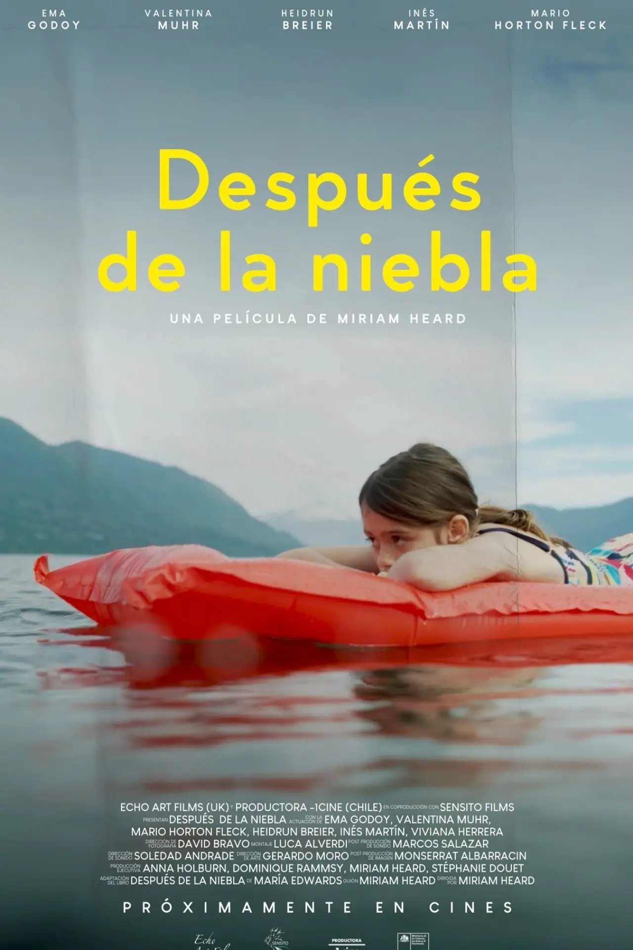 Plakat filmowy "Después de la niebla"