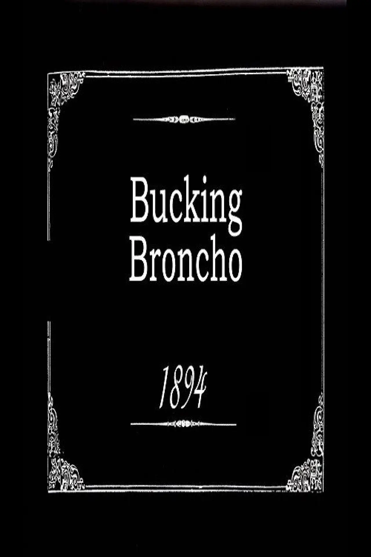 Plakat filmowy "Bucking Broncho"