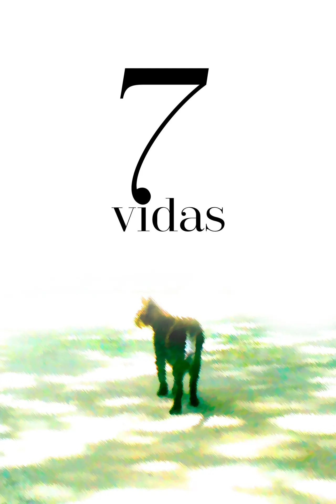 Plakat filmowy "7 Vidas"
