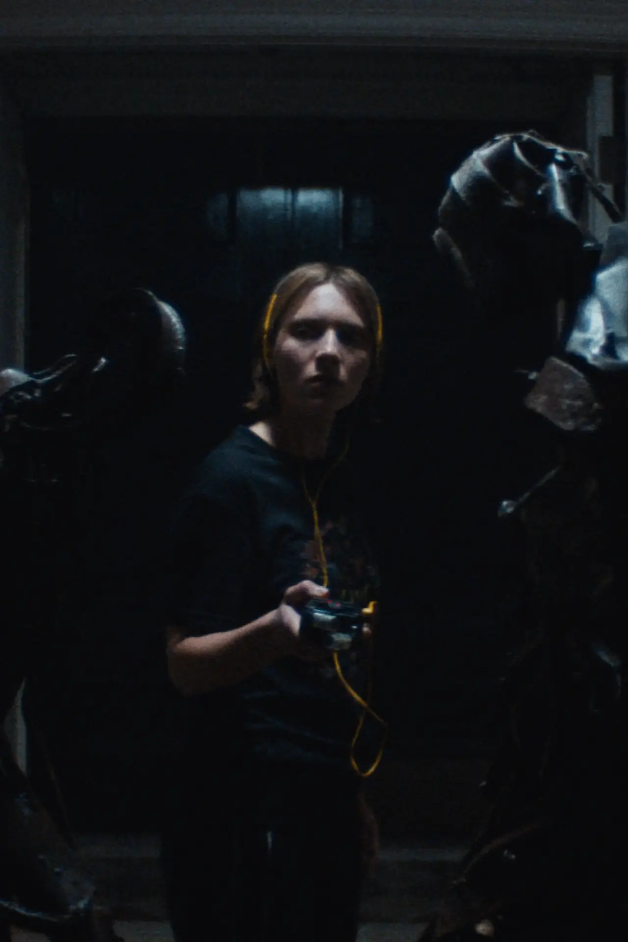 Plakat filmowy "Recluse"