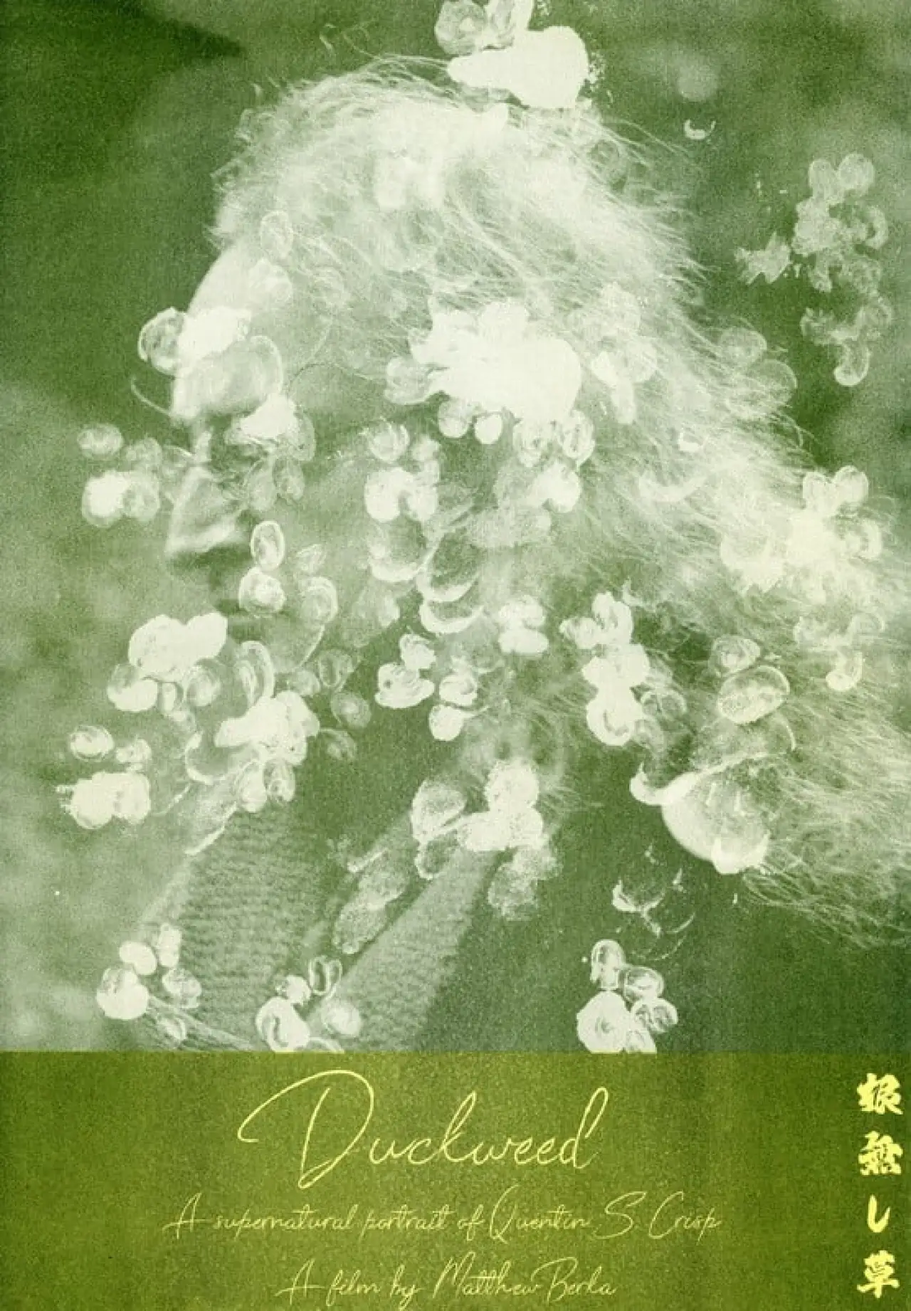 Plakat filmowy "Duckweed"