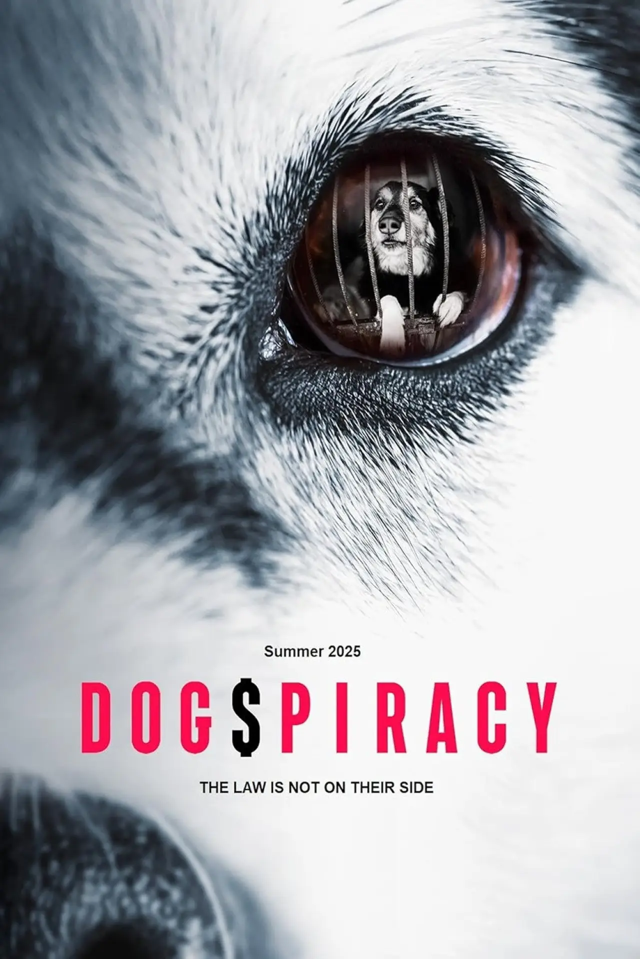 Plakat filmowy "Dogspiracy"