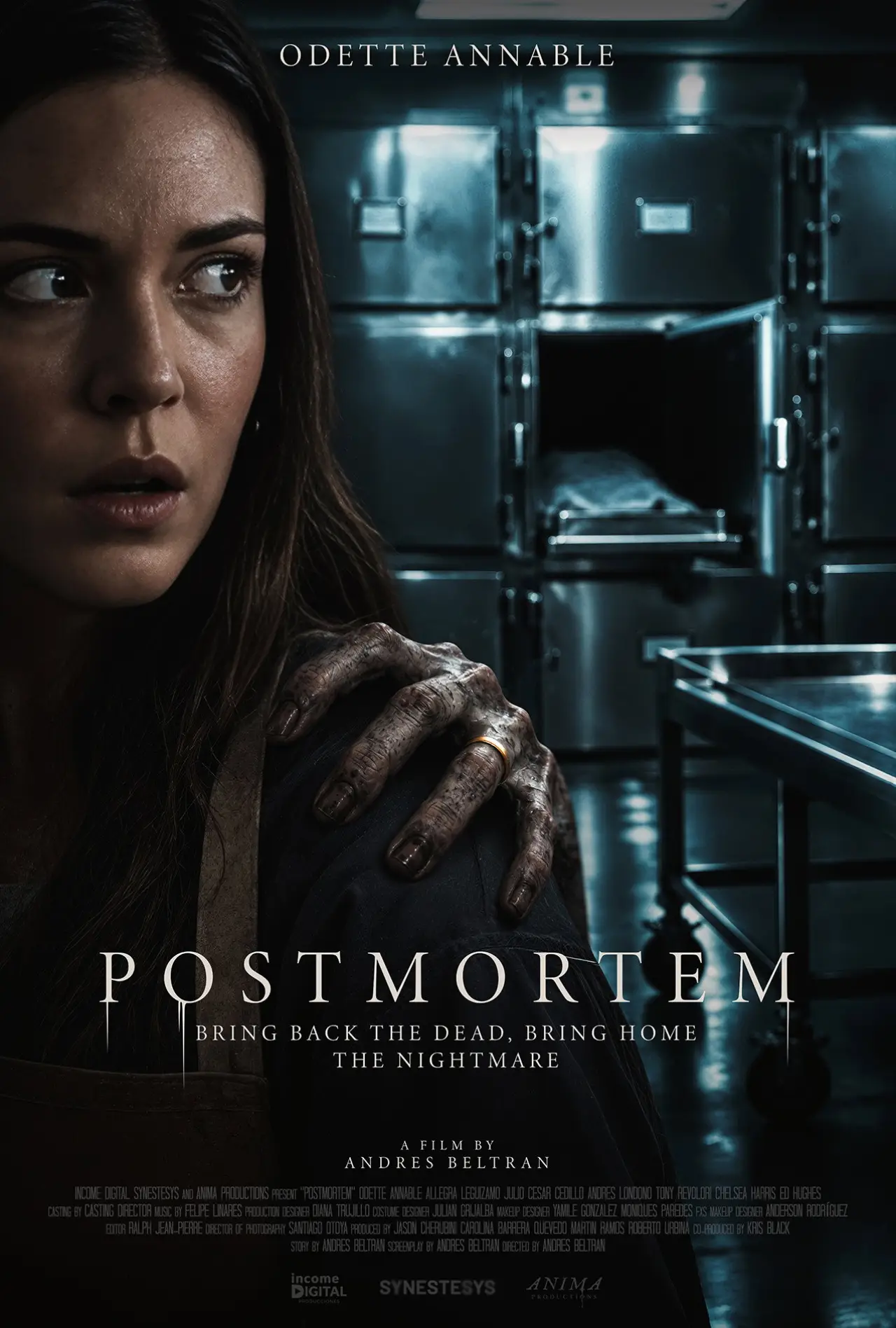 Plakat filmowy "Postmortem"