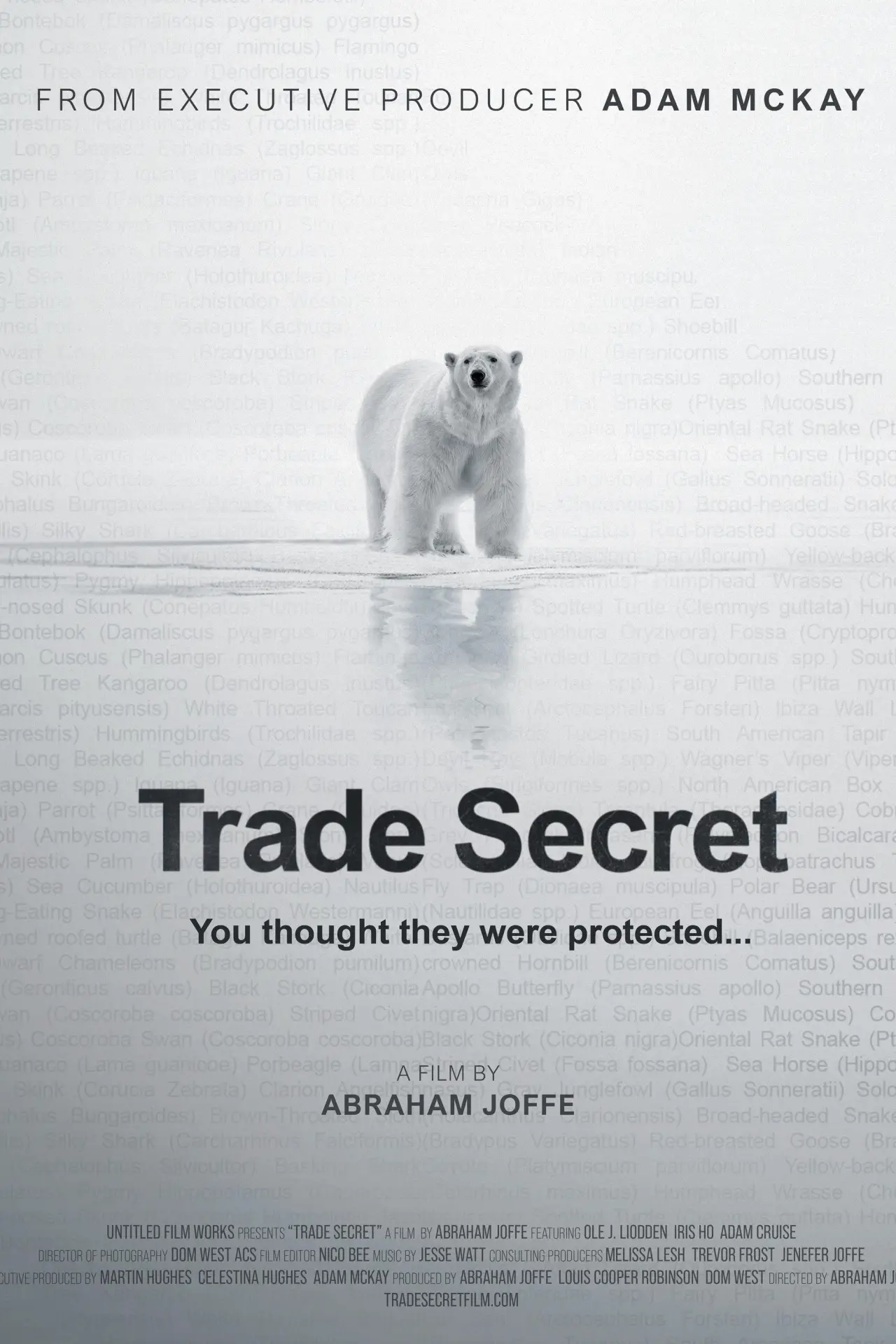 Plakat filmowy "Trade Secret"
