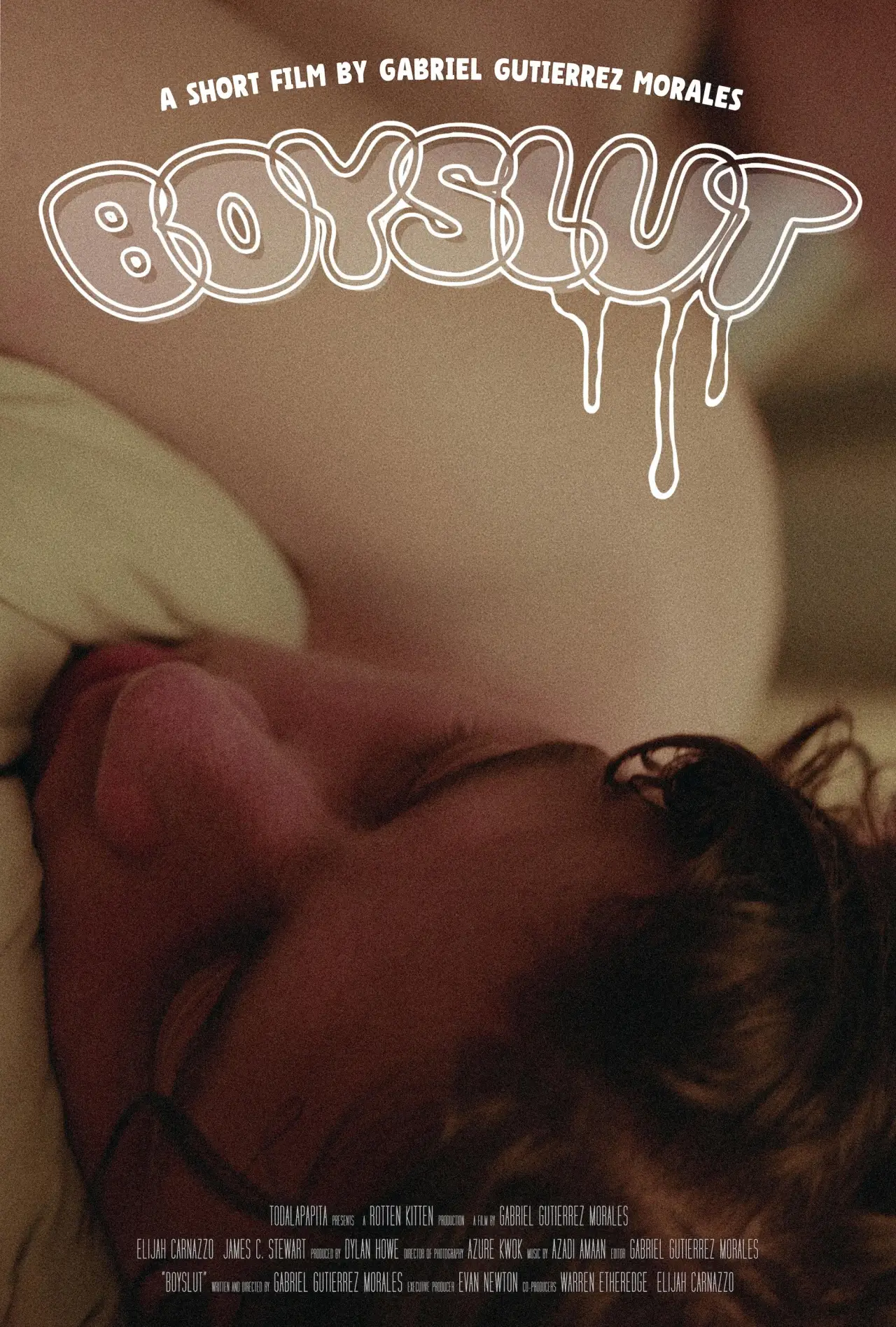 Plakat filmowy "Boyslut"
