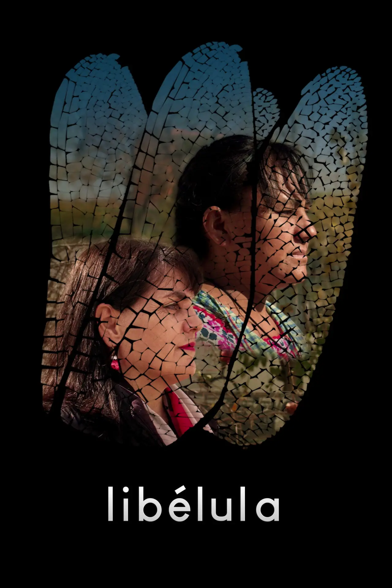 Plakat filmowy "Libélula"
