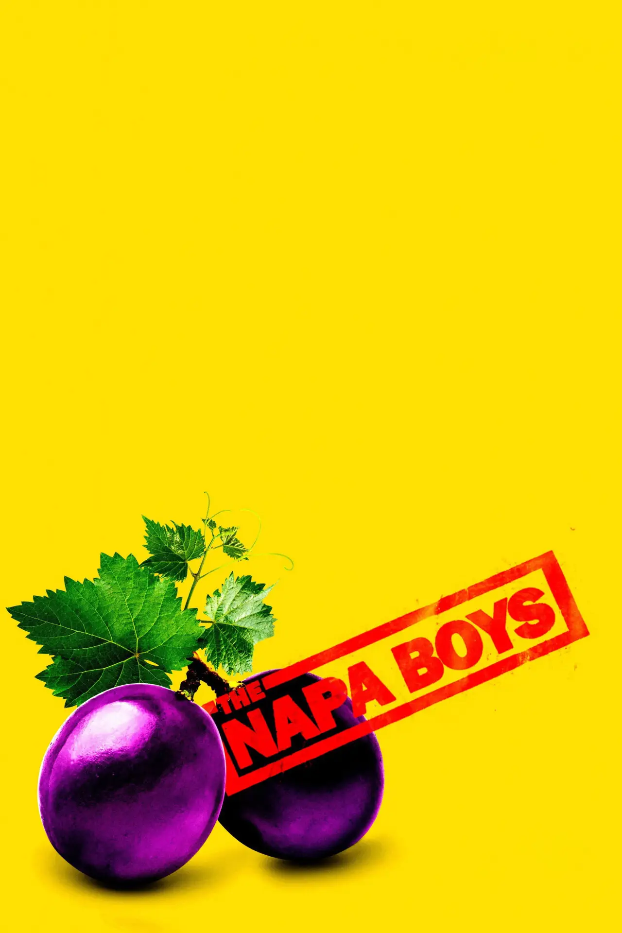 Plakat filmowy "The Napa Boys"