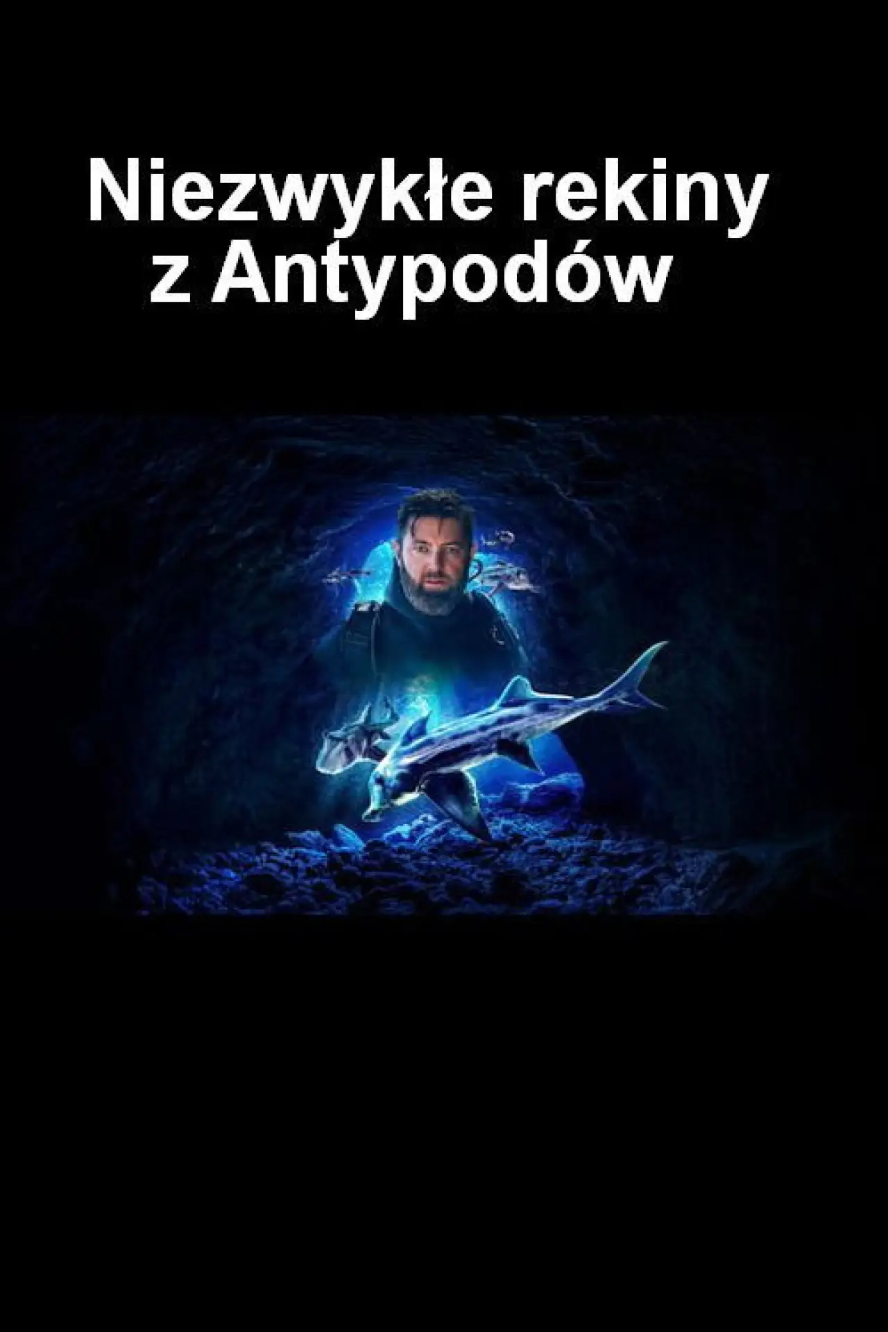 Plakat filmowy "Niezwykłe rekiny z Antypodów"