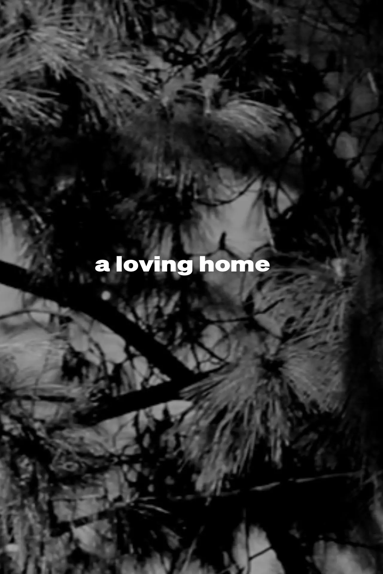 Plakat filmowy "a loving home"