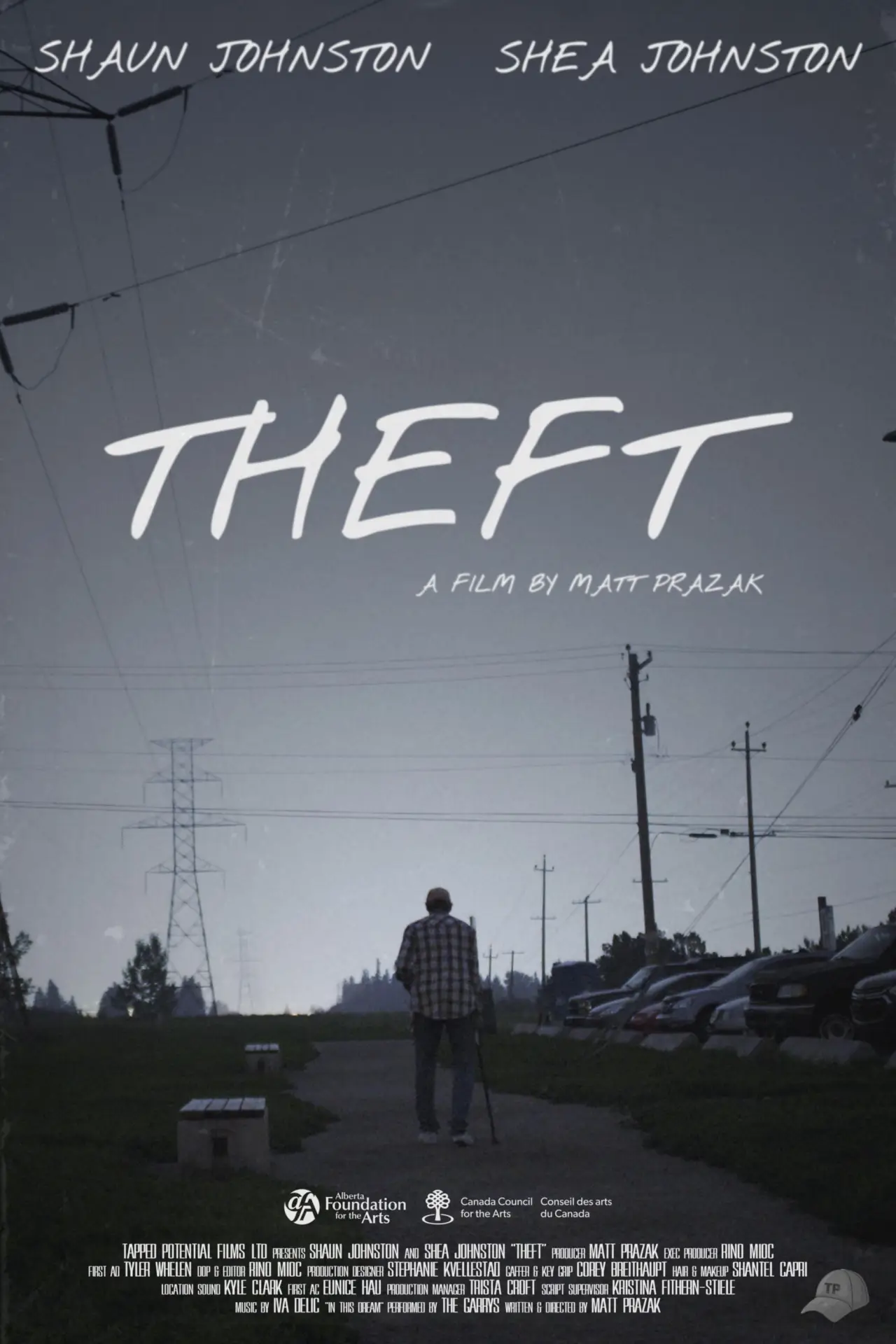 Plakat filmowy "Theft"