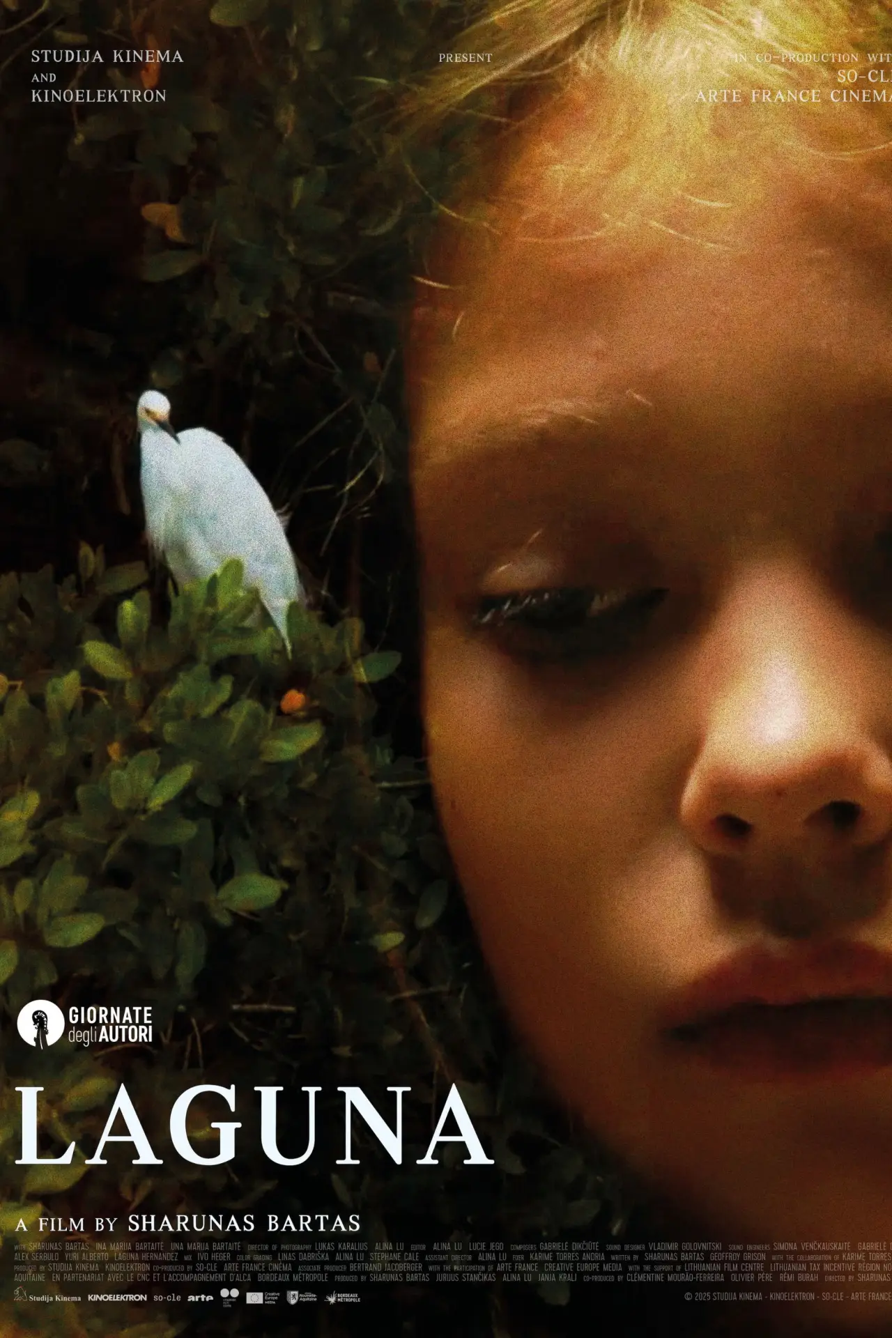 Plakat filmowy "Laguna"