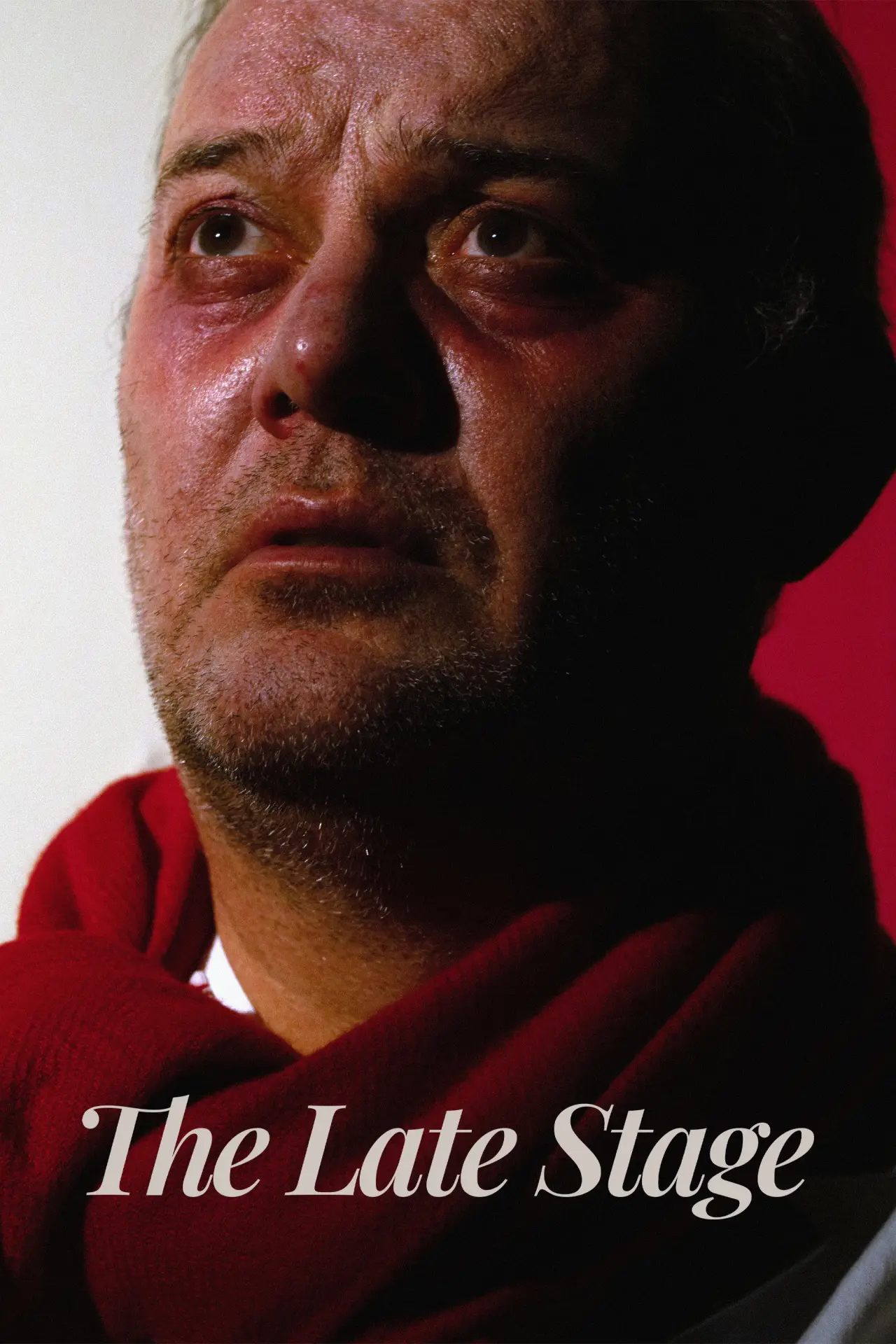 Plakat filmowy "The Late Stage"