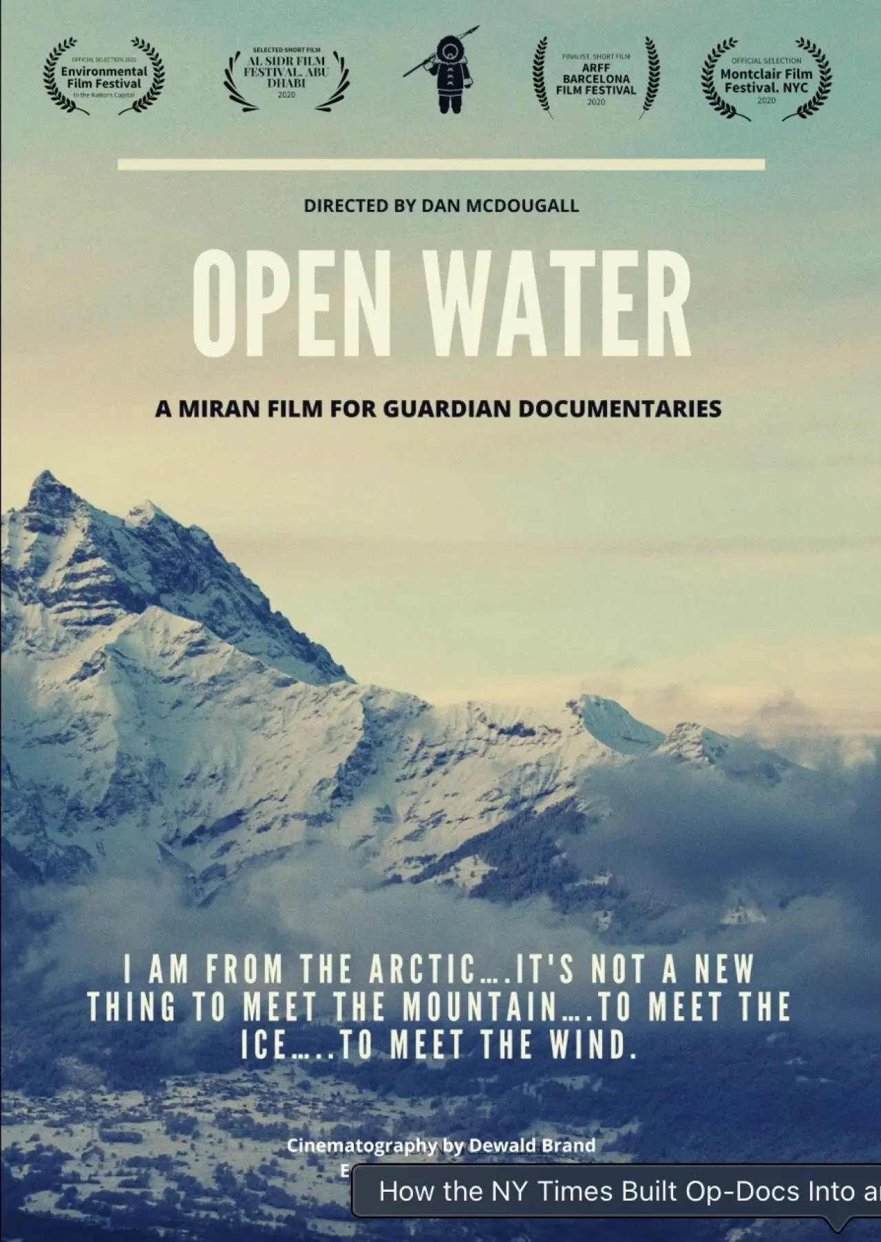 Plakat filmowy "Open Water"