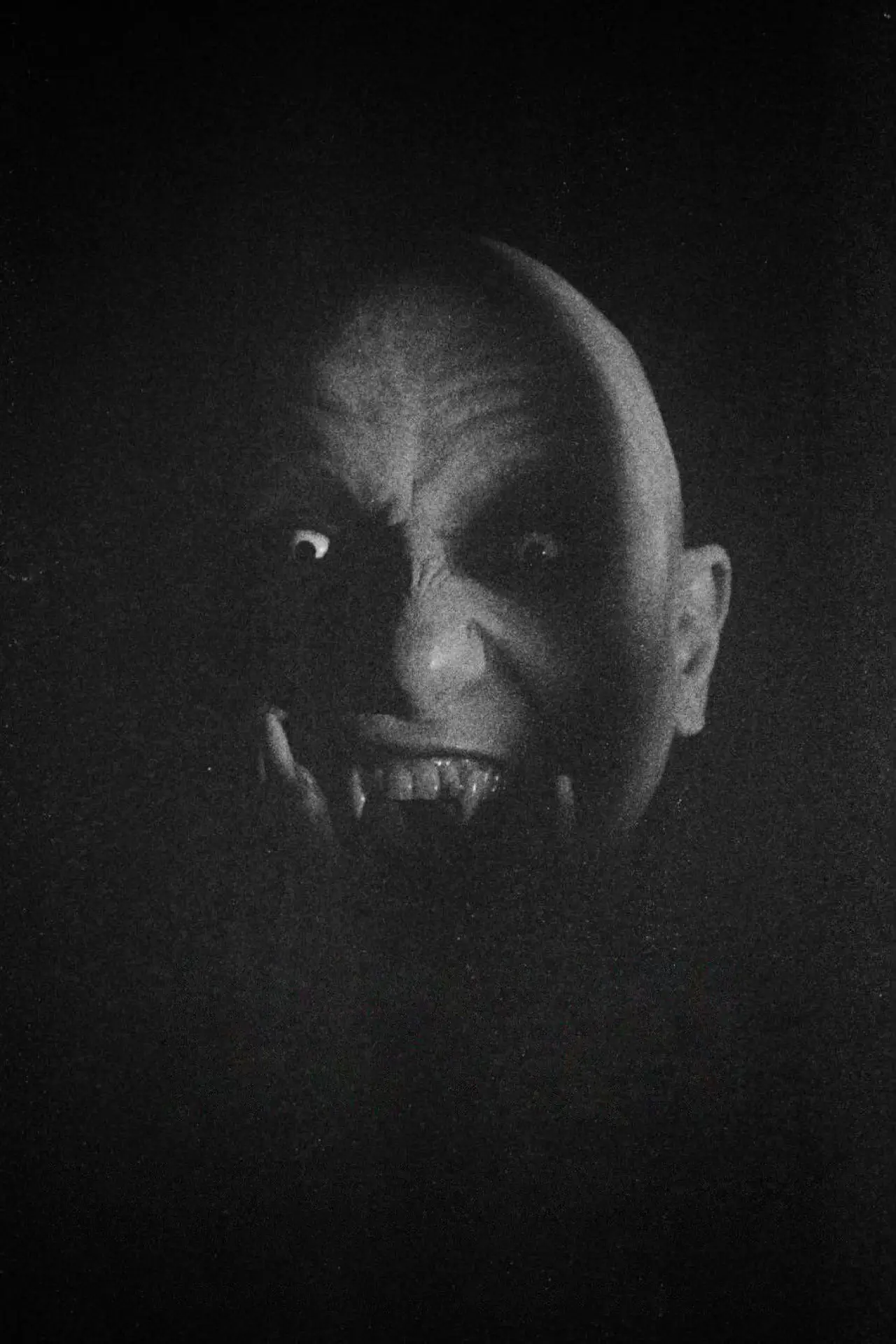 Plakat filmowy "Nosferatu"