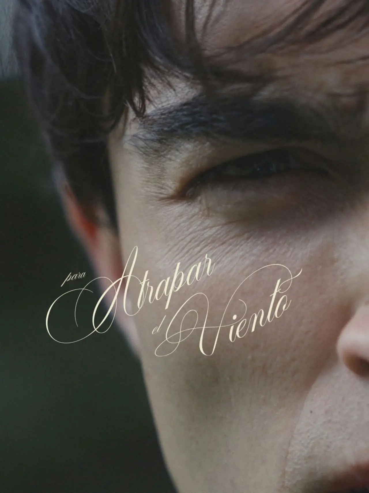 Plakat filmowy "Para atrapar el viento"