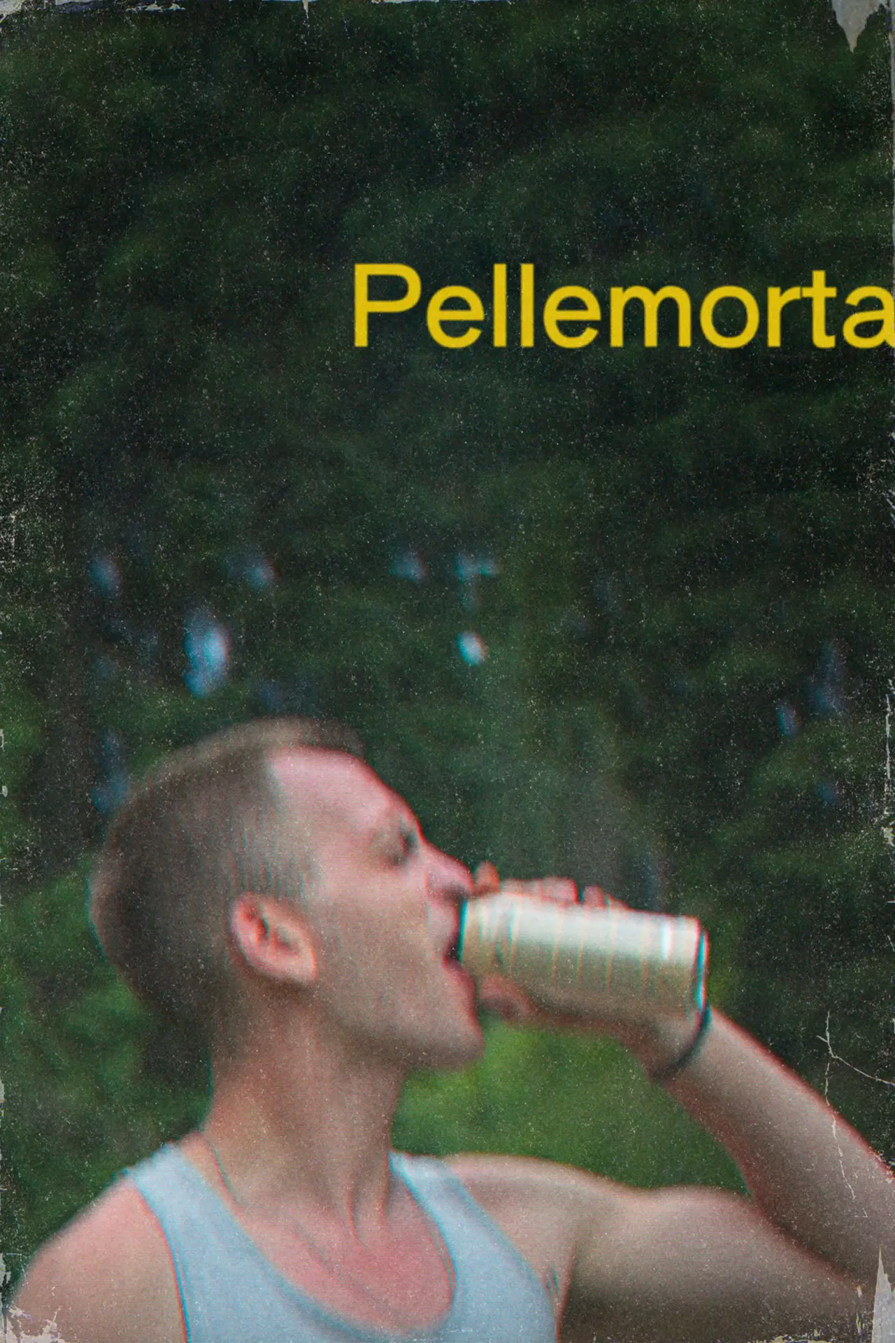 Plakat filmowy "Pellemorta"