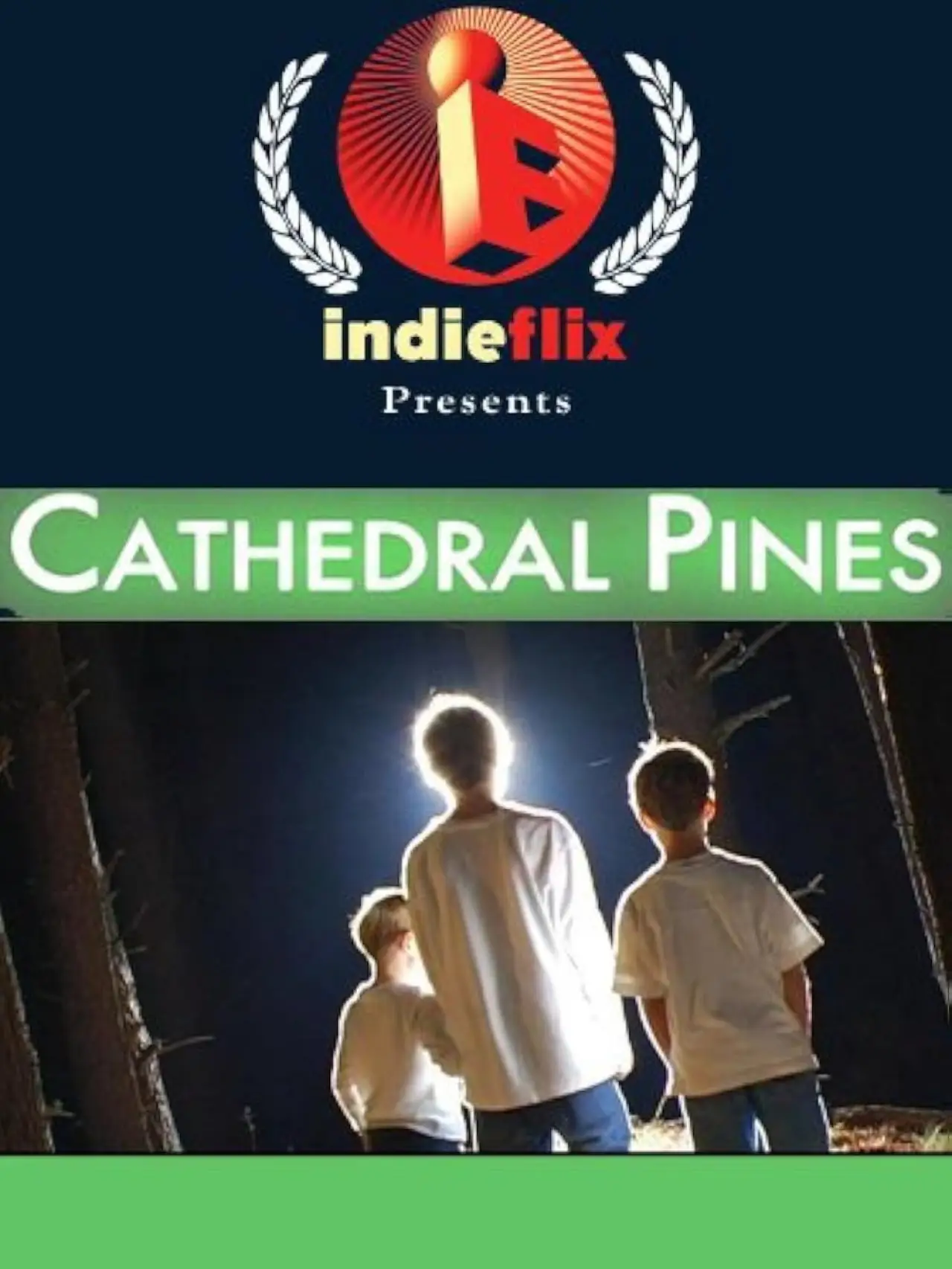 Plakat filmowy "Cathedral Pines"
