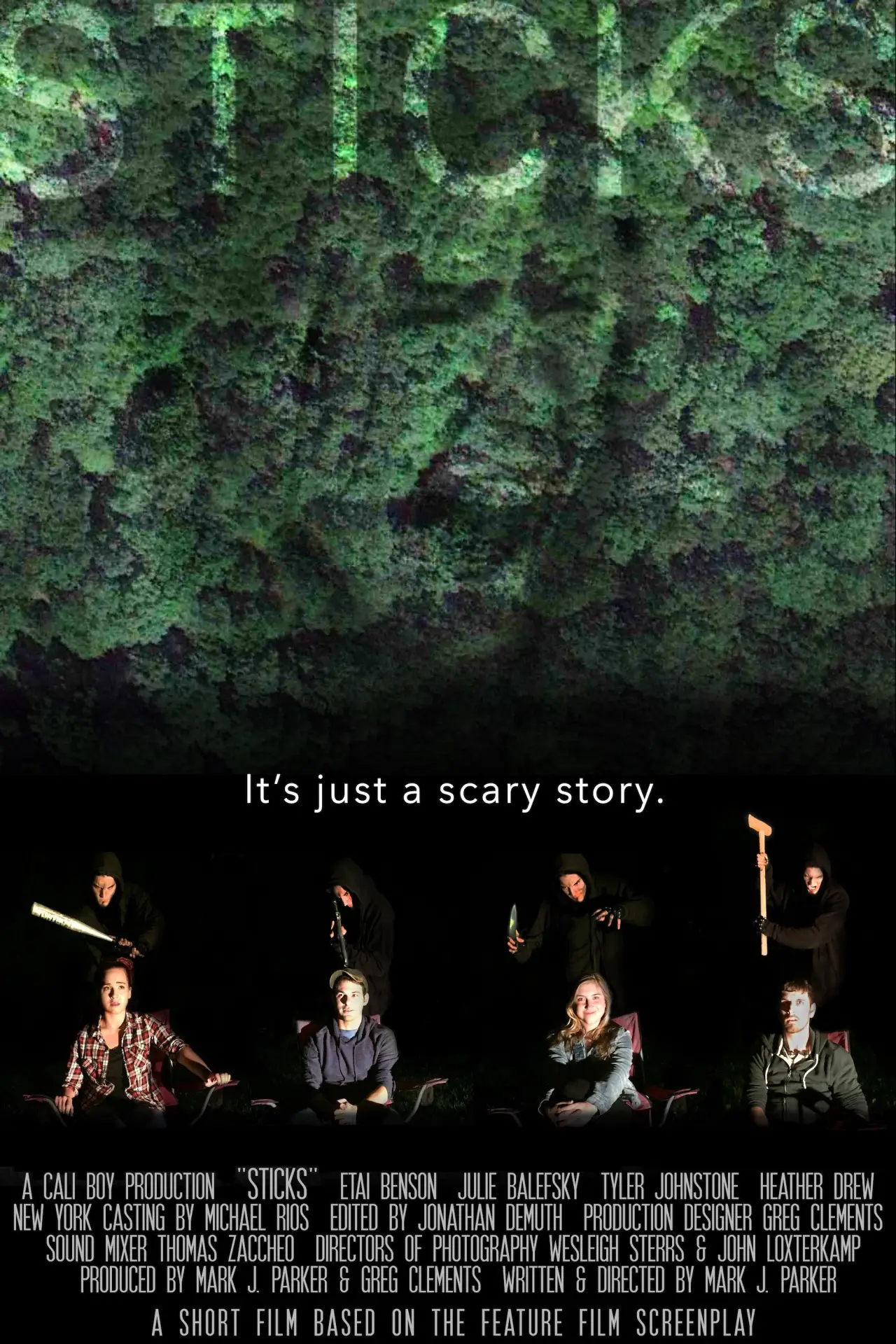 Plakat filmowy "Sticks"