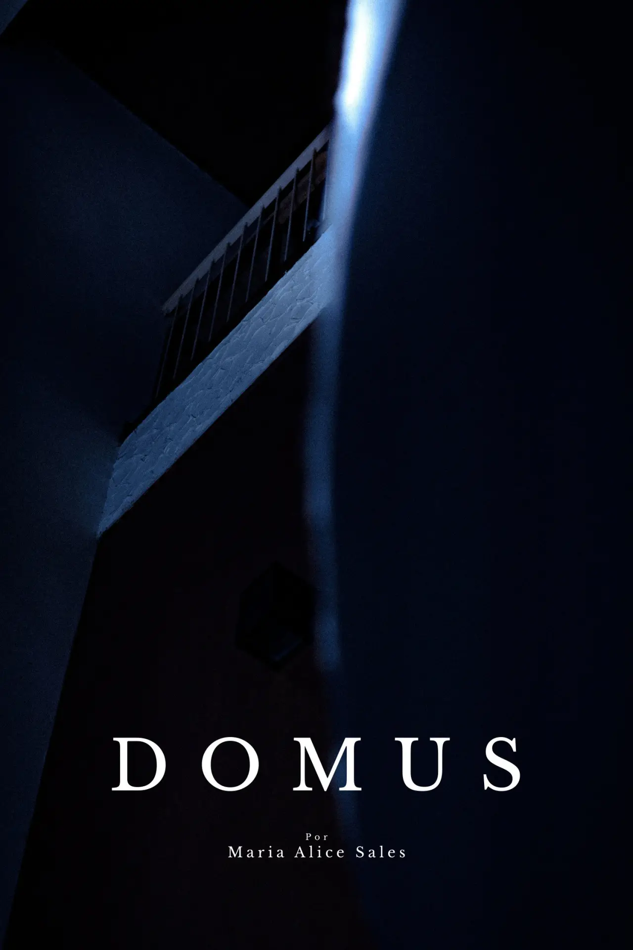 Plakat filmowy "DOMUS"