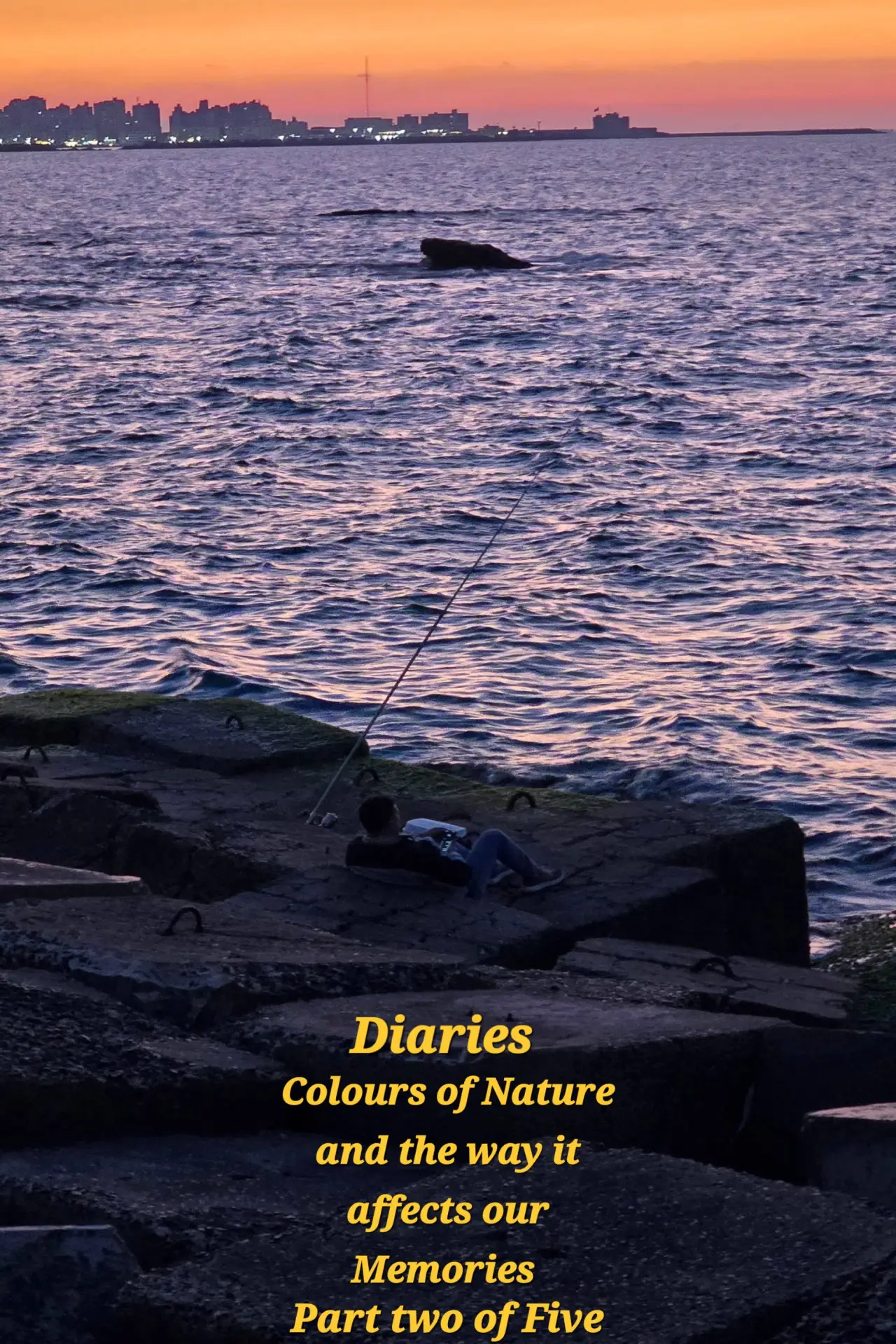 Plakat filmowy "Diaries: Colours of Nature and the Way It Affects Our Memories."