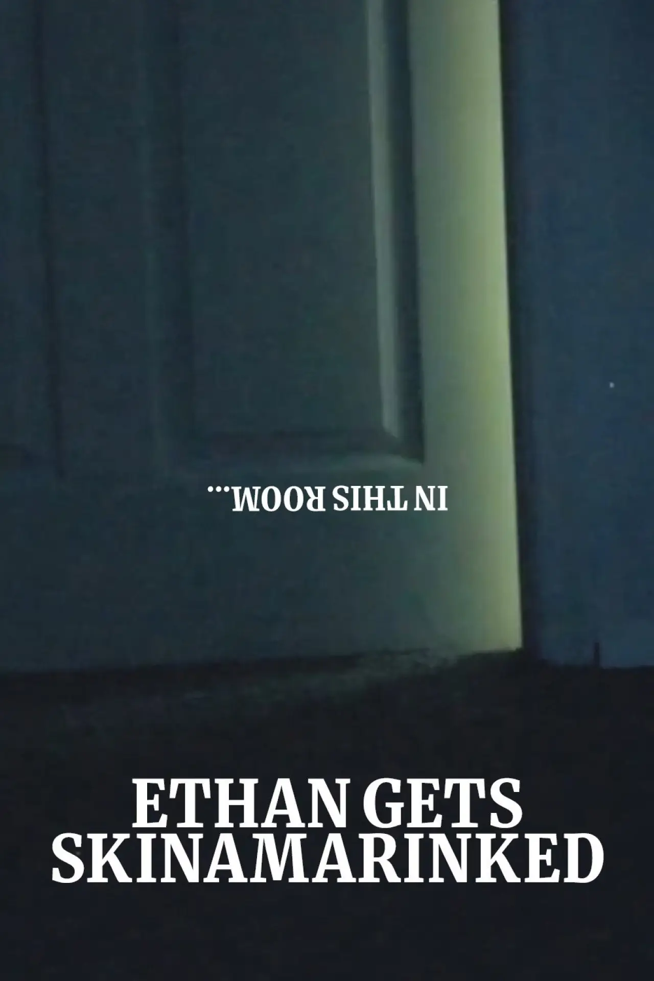 Plakat filmowy "Ethan Gets Skinamarinked"
