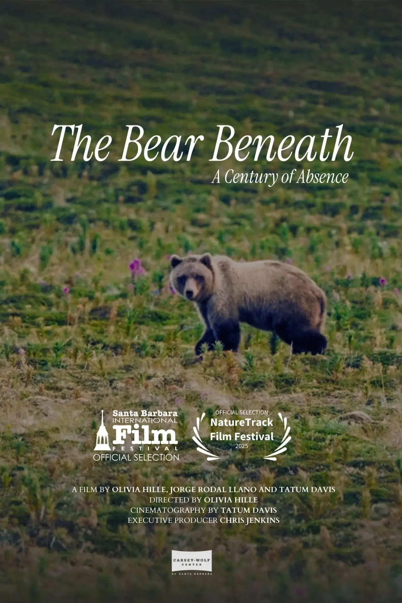 Plakat filmowy "The Bear Beneath"