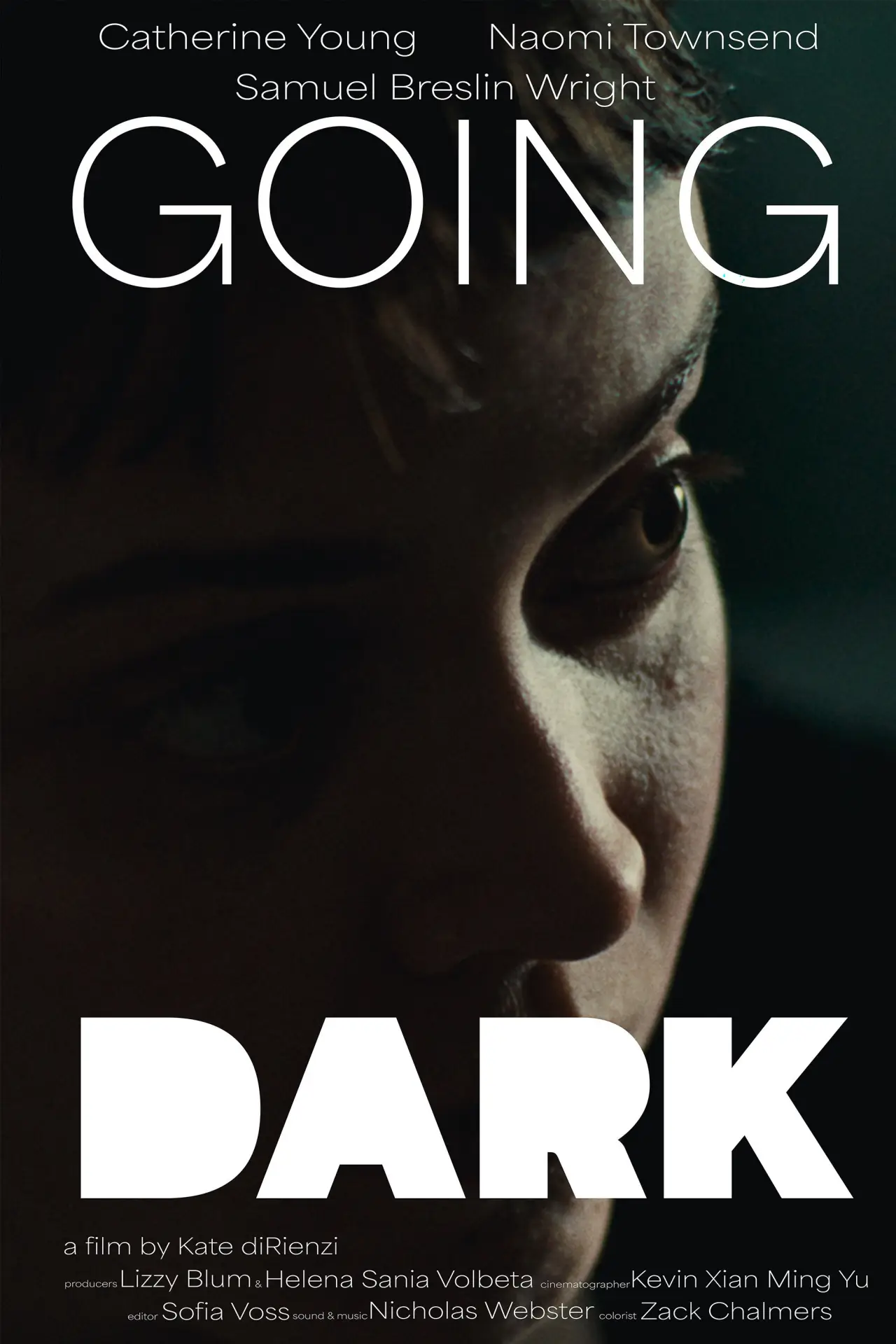 Plakat filmowy "Going Dark"