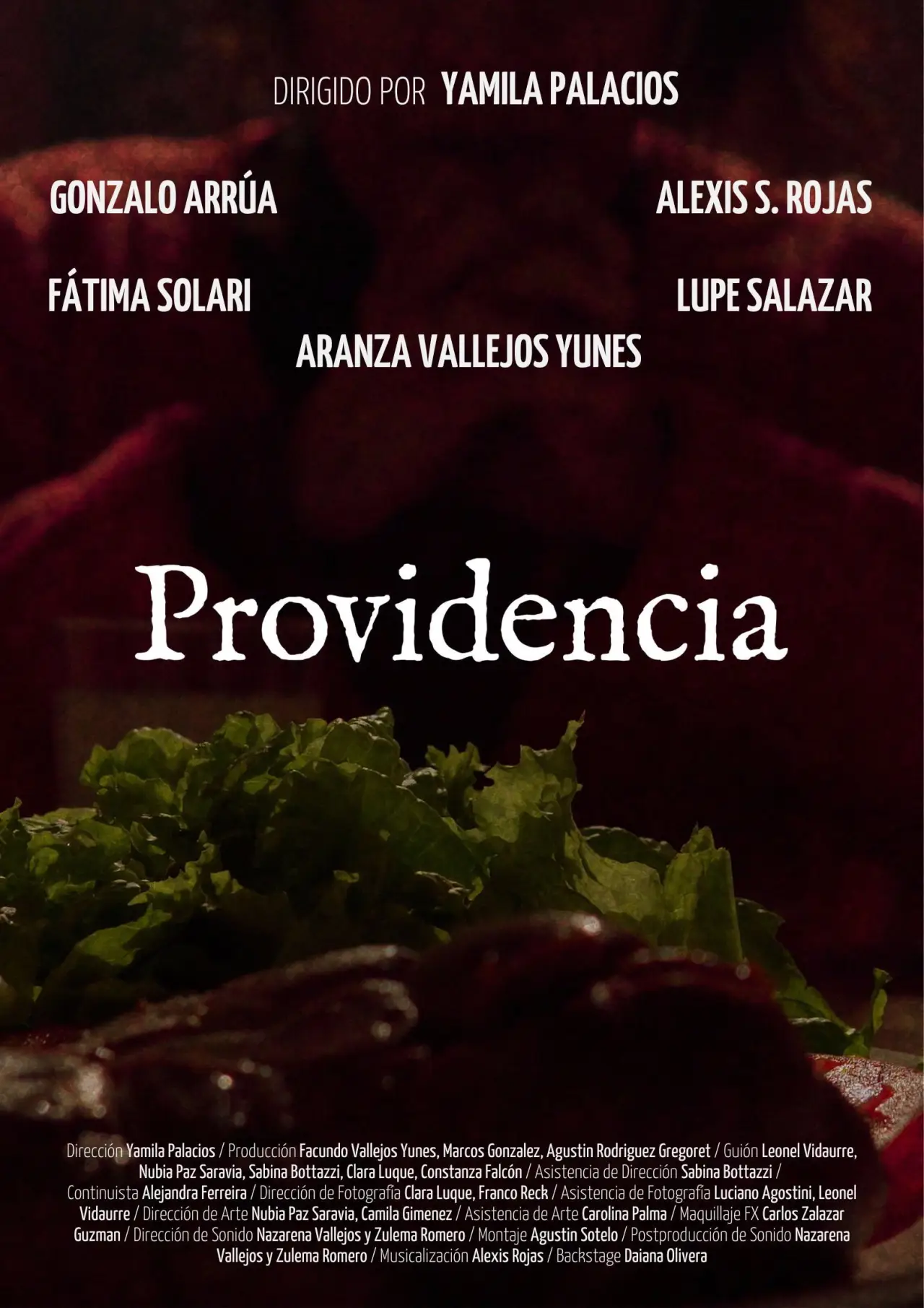 Plakat filmowy "Providencia"