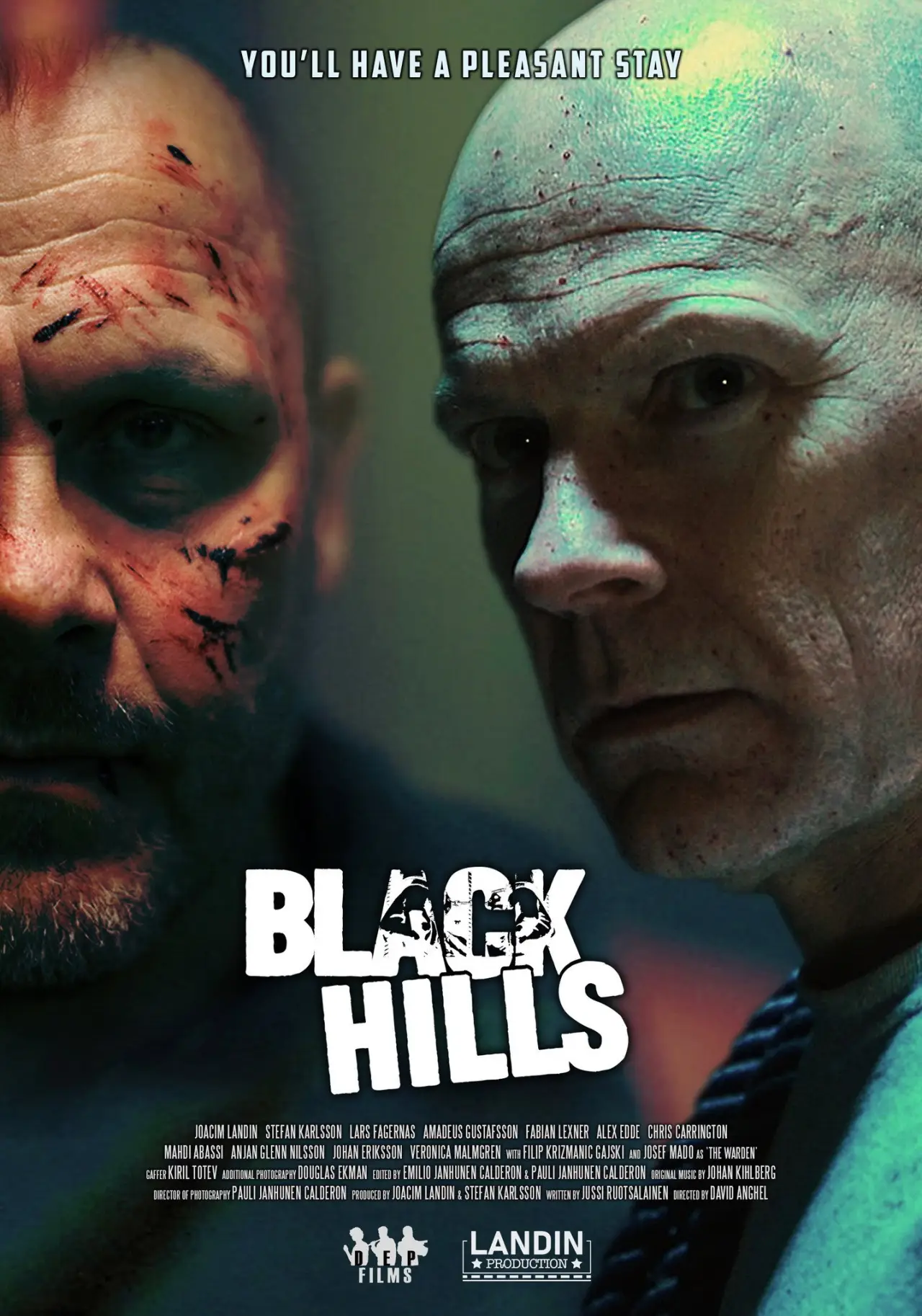Plakat filmowy "Black Hills"
