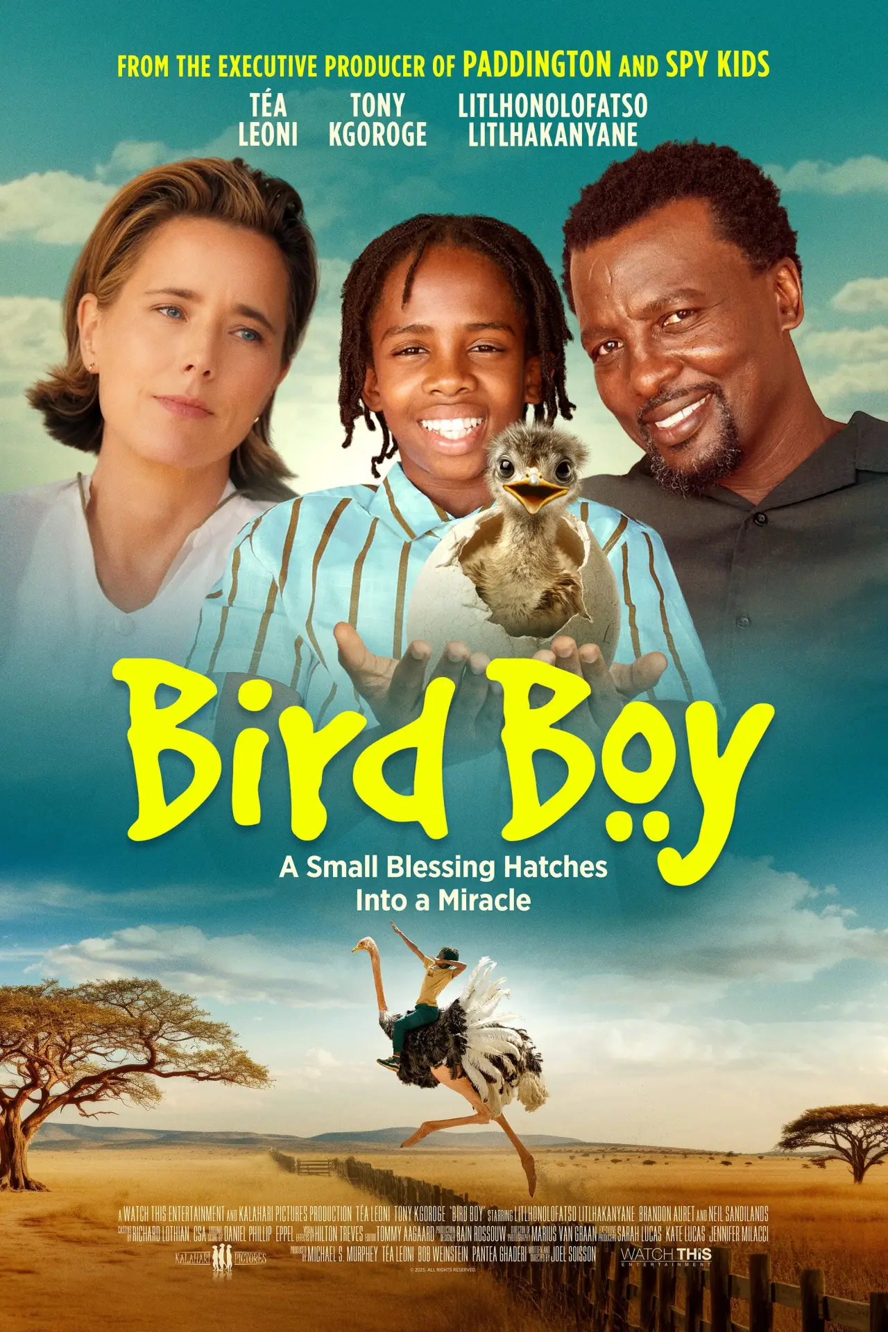 Plakat filmowy "Bird Boy"