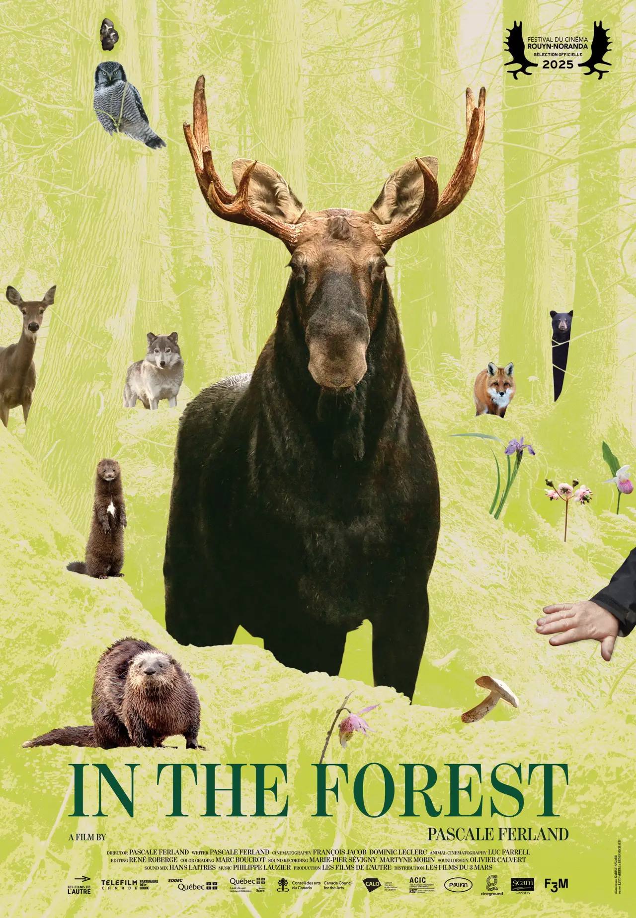 Plakat filmowy "Dans la forêt"