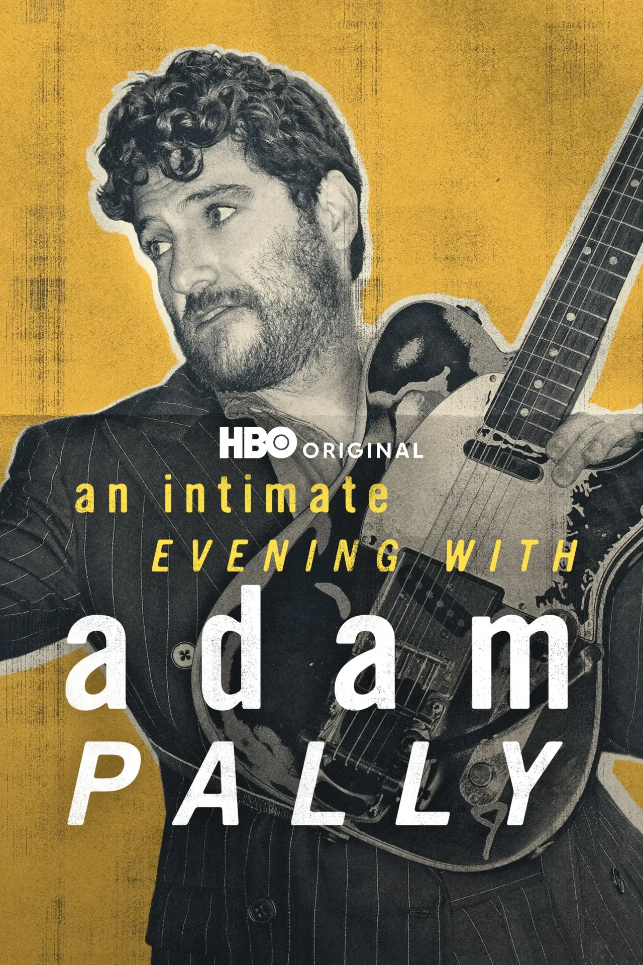 Plakat filmowy "Kameralny wieczór z Adamem Pallym"