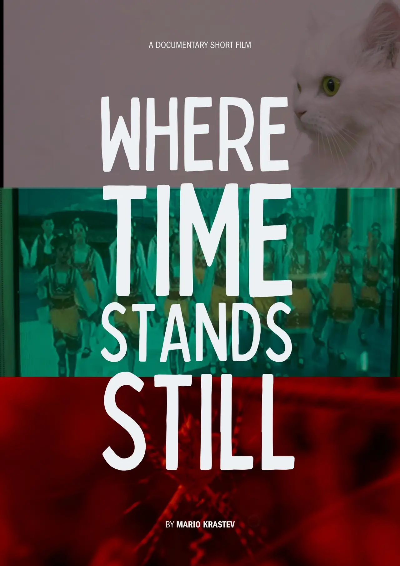 Plakat filmowy "Where Time Stands Still"