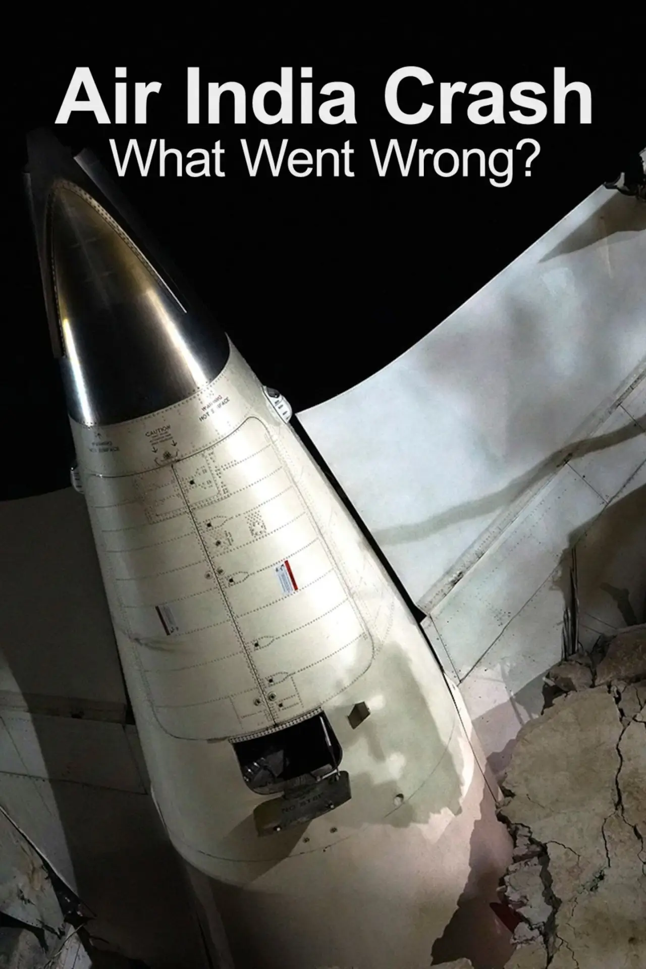 Plakat filmowy "Air India Crash: What Went Wrong?"