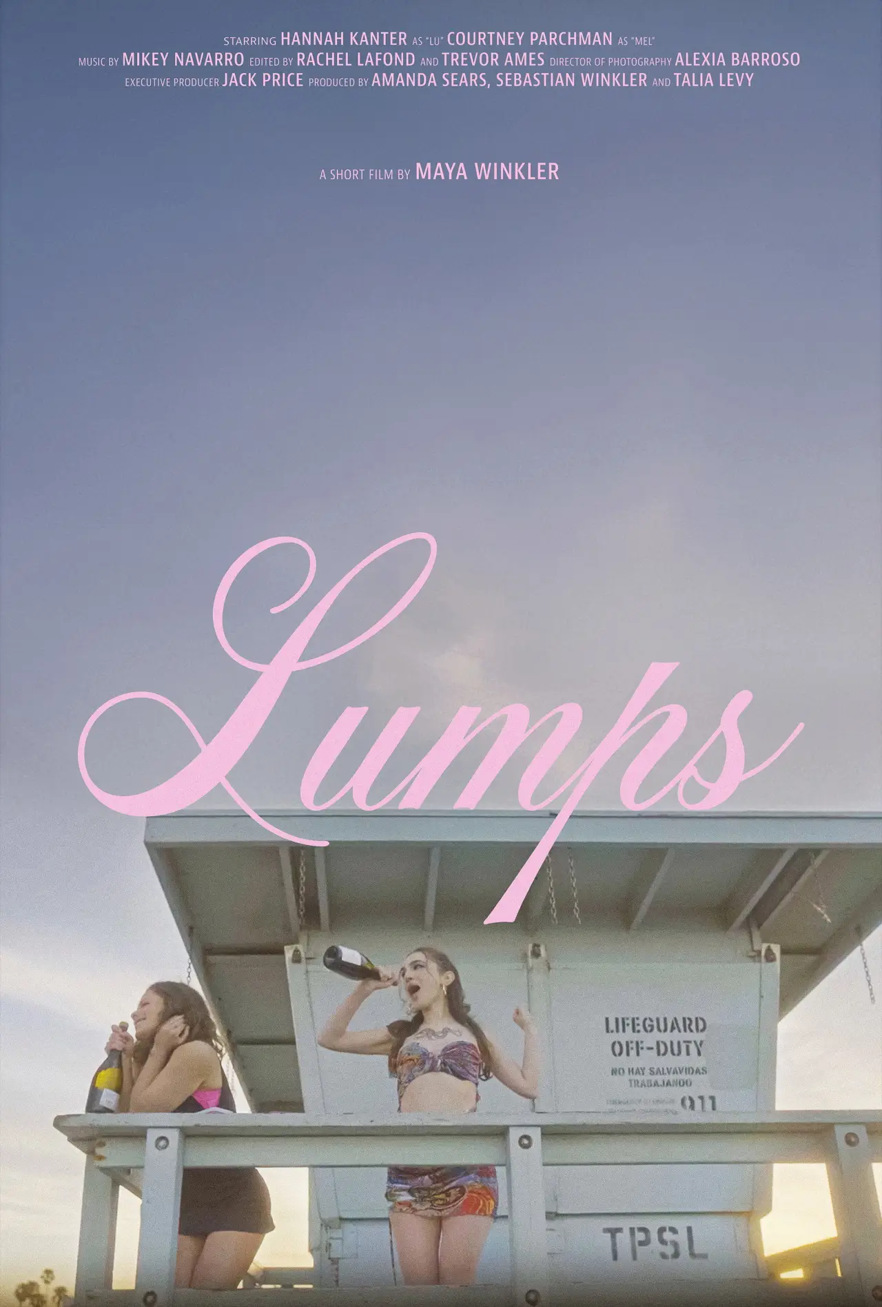 Plakat filmowy "Lumps"