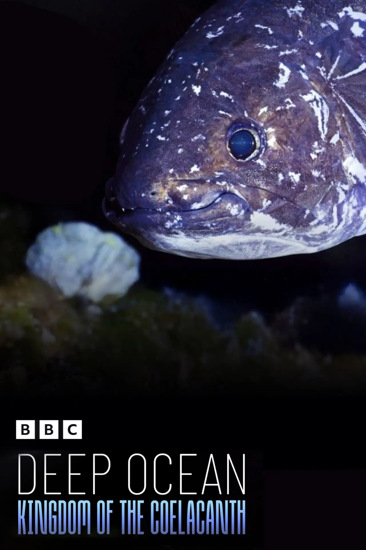 Plakat filmowy "Deep Ocean: Kingdom of the Coelacanth"