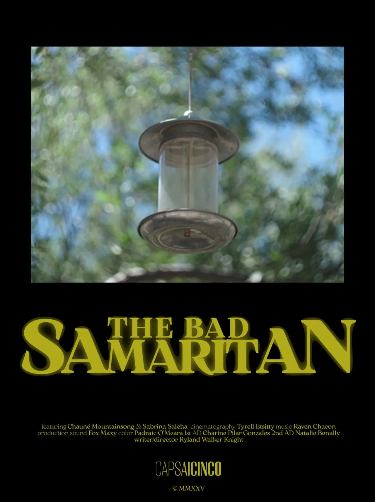 Plakat filmowy "The Bad Samaritan"
