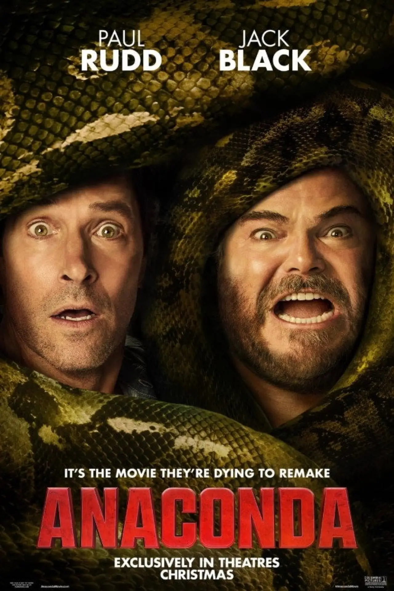 Plakat filmowy "Kapibaara"
