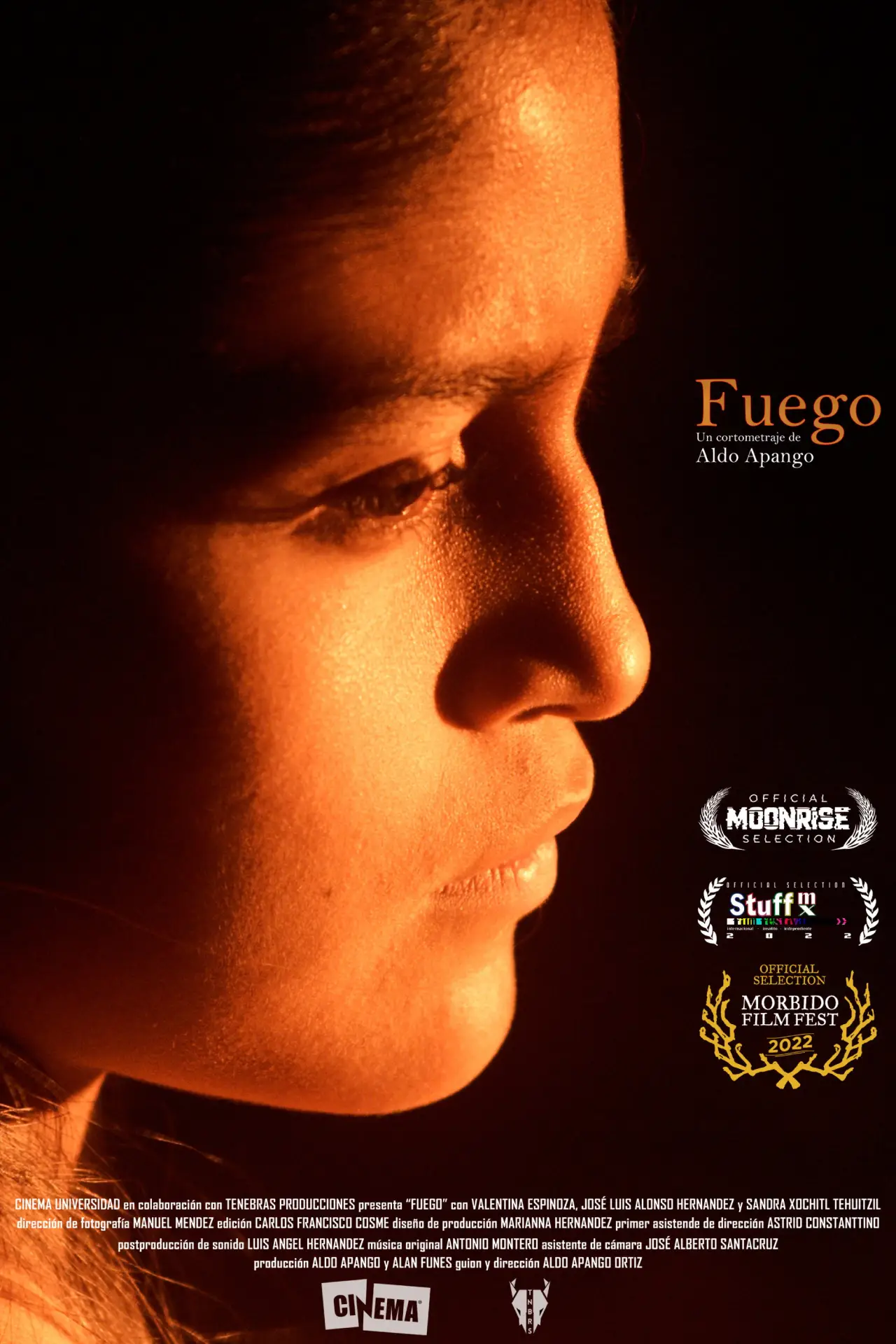 Plakat filmowy "FUEGO"