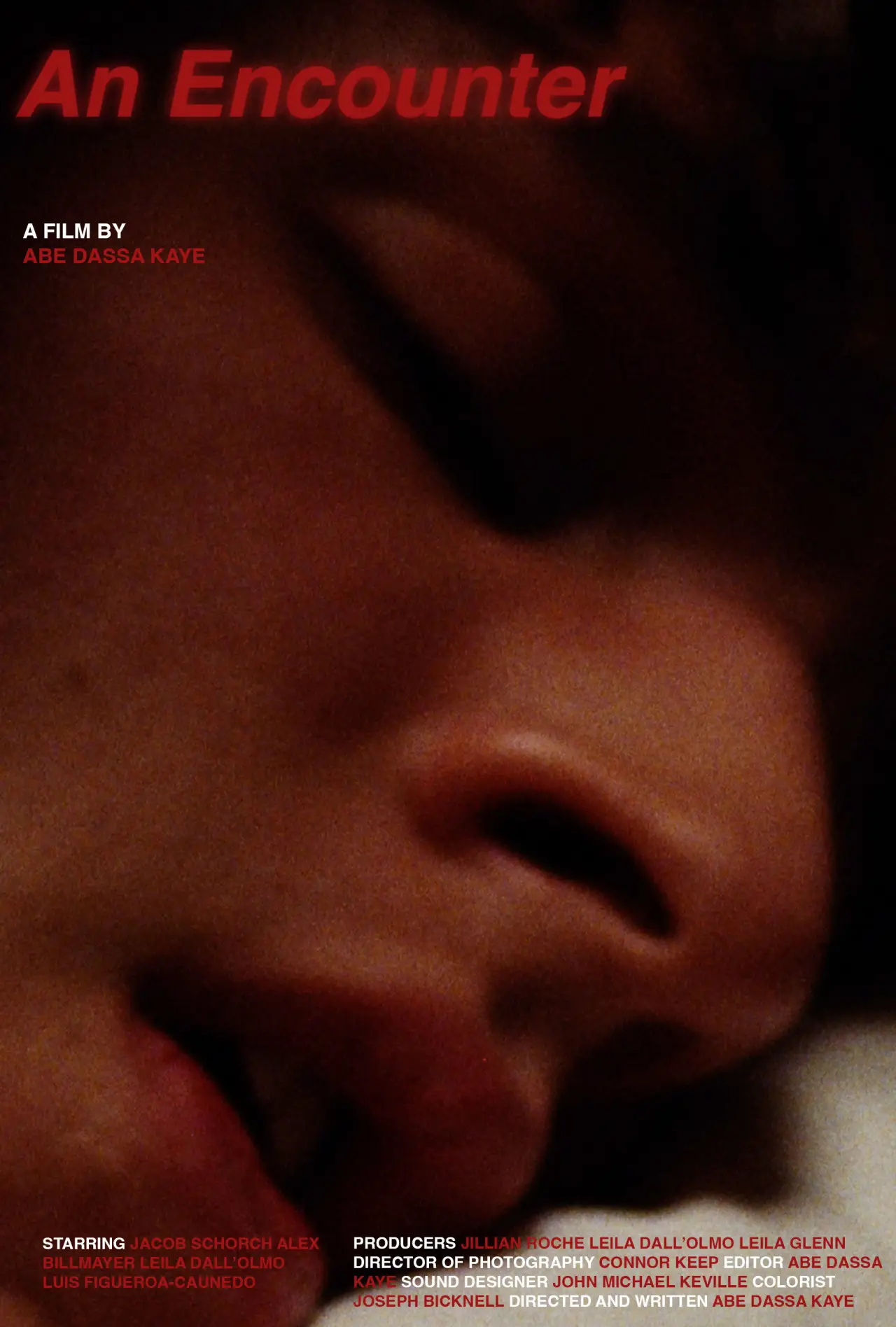 Plakat filmowy "An Encounter"