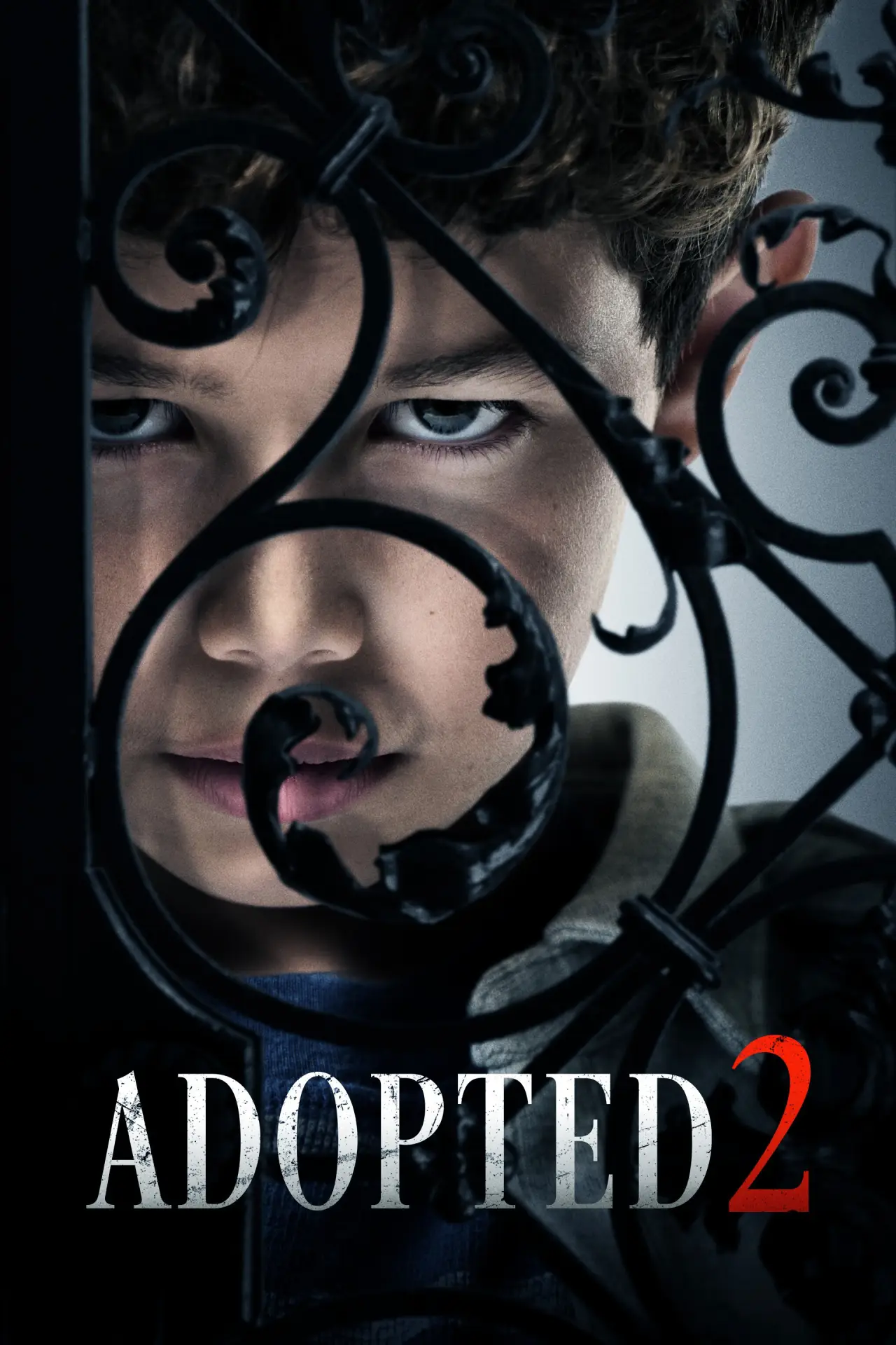 Plakat filmowy "Adopted 2"