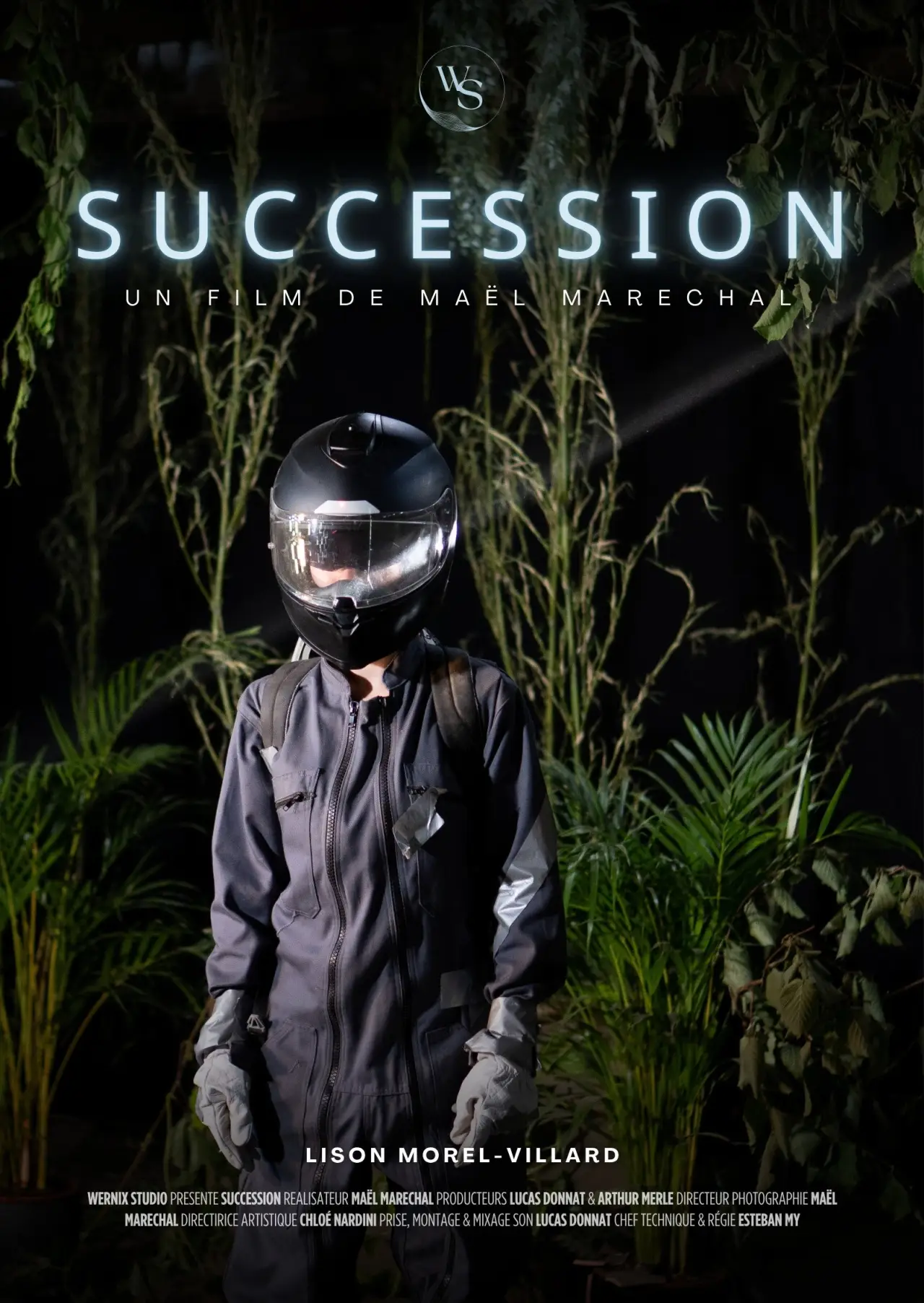 Plakat filmowy "Succession"